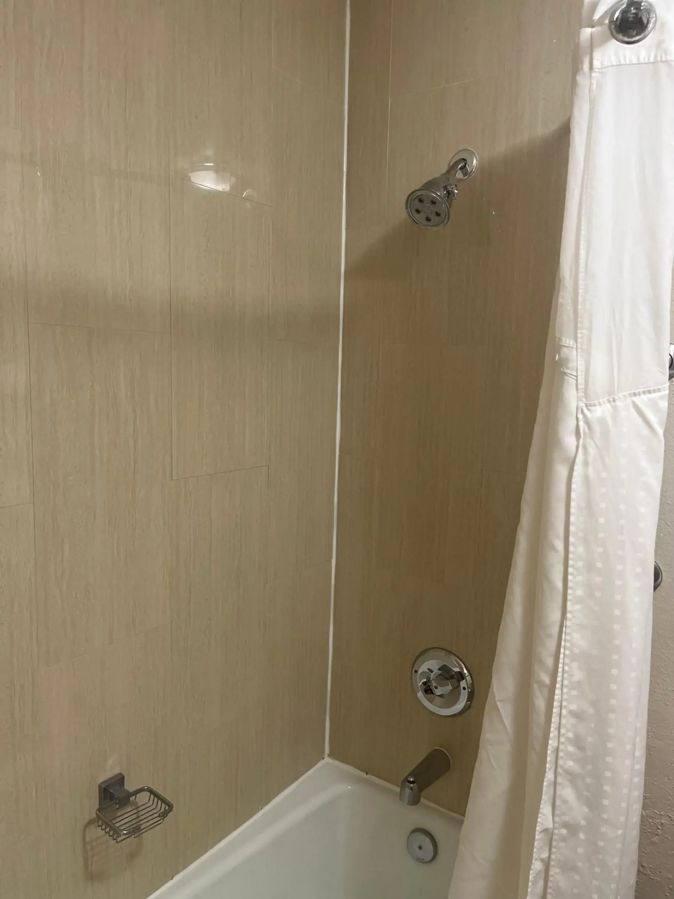 Shower, Bathroom in Holiday Inn Houston SW-Near Sugar Land