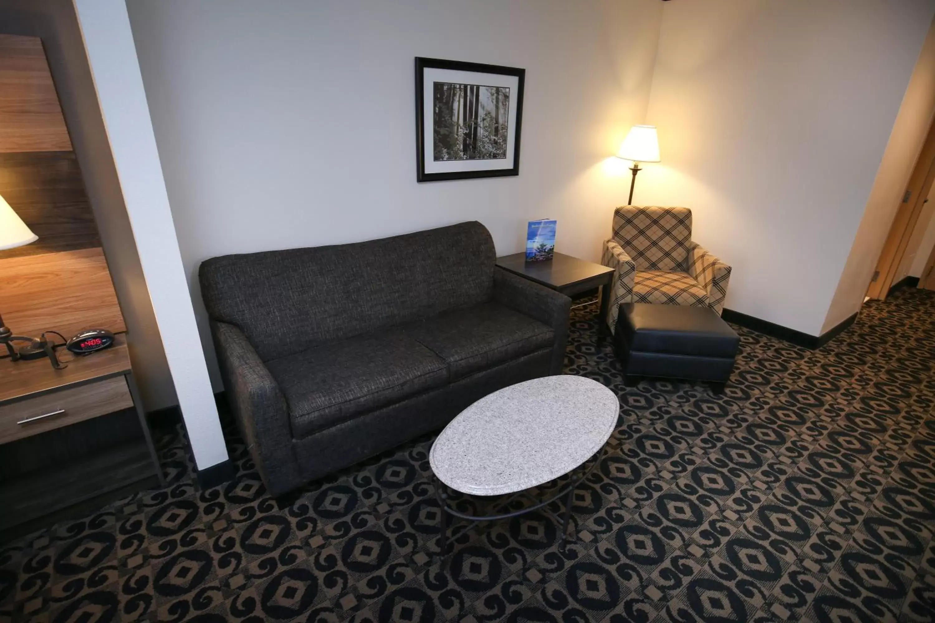 Living room, Seating Area in Quality Inn & Suites Boone - University Area