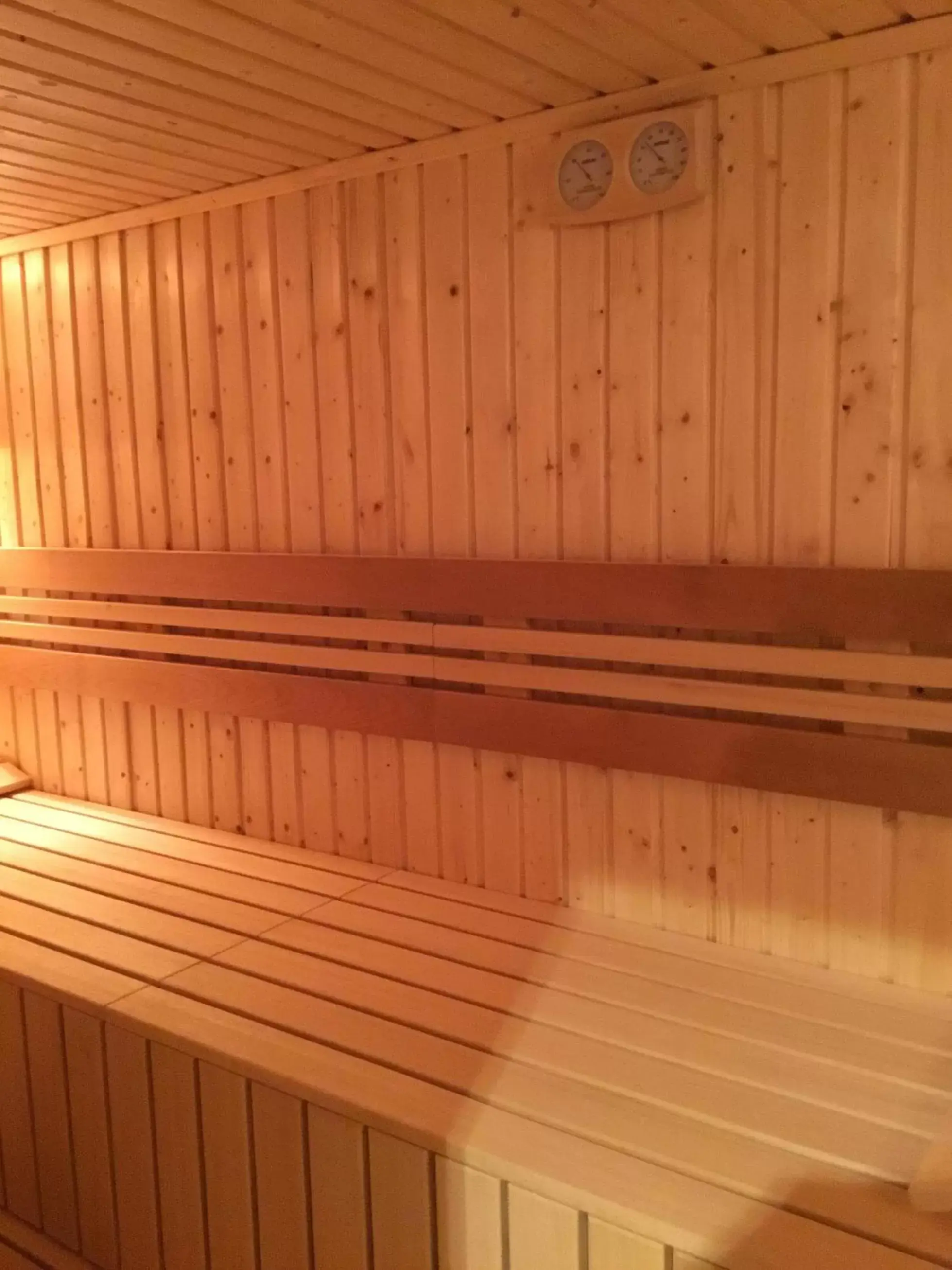 Sauna in Trans World Hotel Columbus