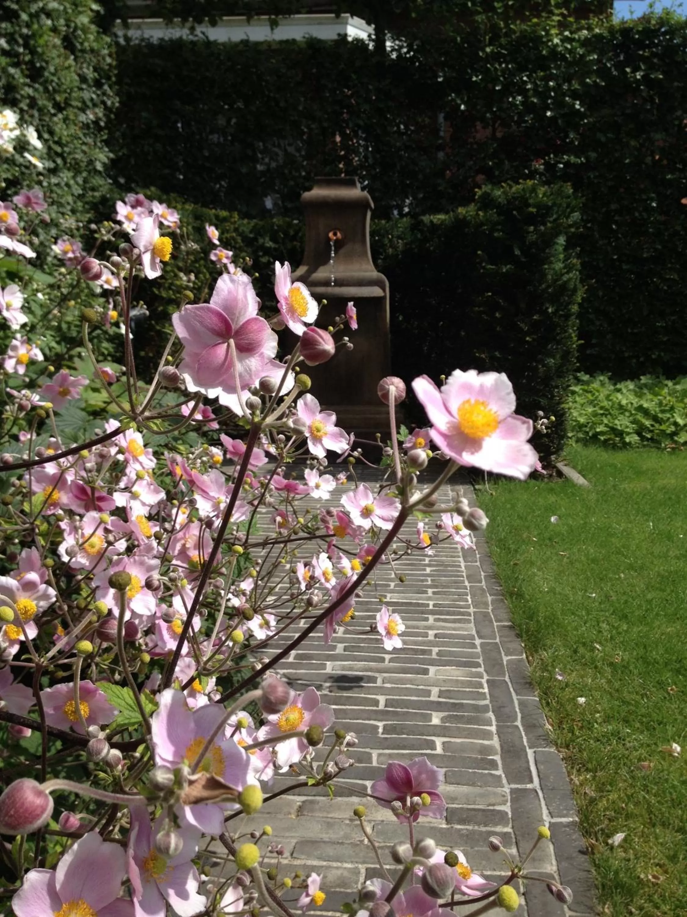 Summer in Guesthouse Villa Vauban