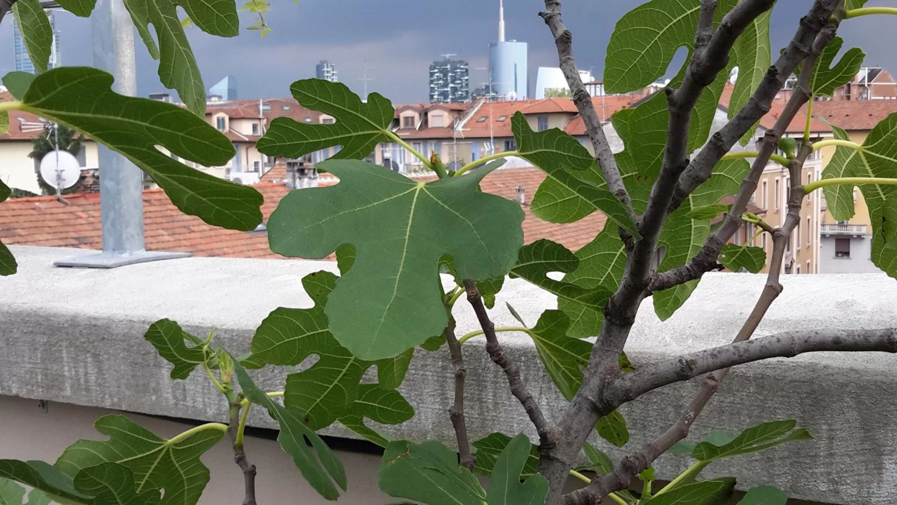 City view in Casatitta Bed & Breakfast