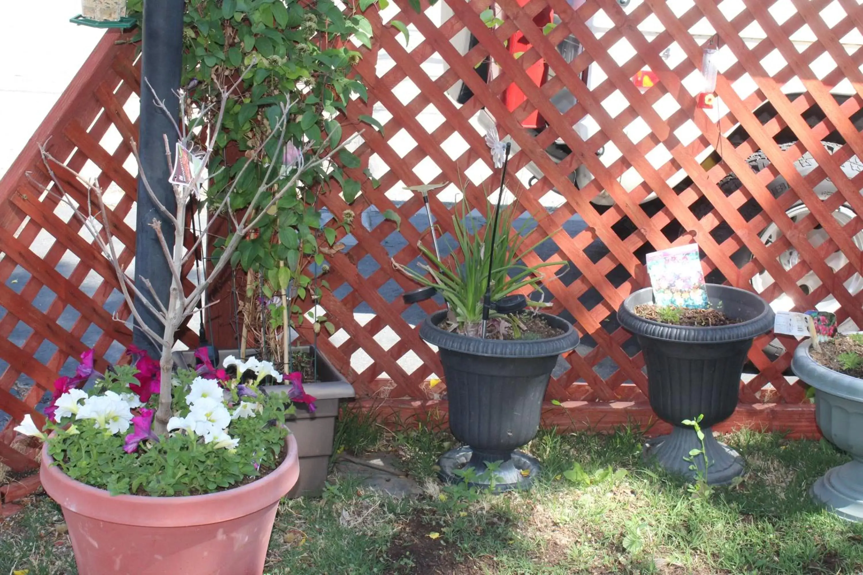 Garden in El Rancho Motel