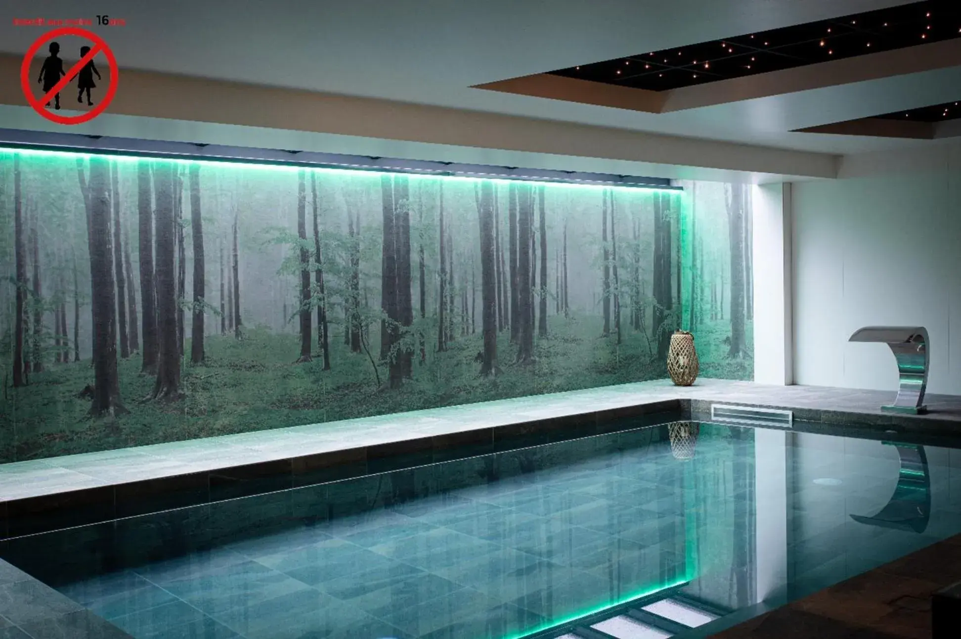 Spa and wellness centre/facilities, Swimming Pool in Europe Haguenau – Hotel & Spa