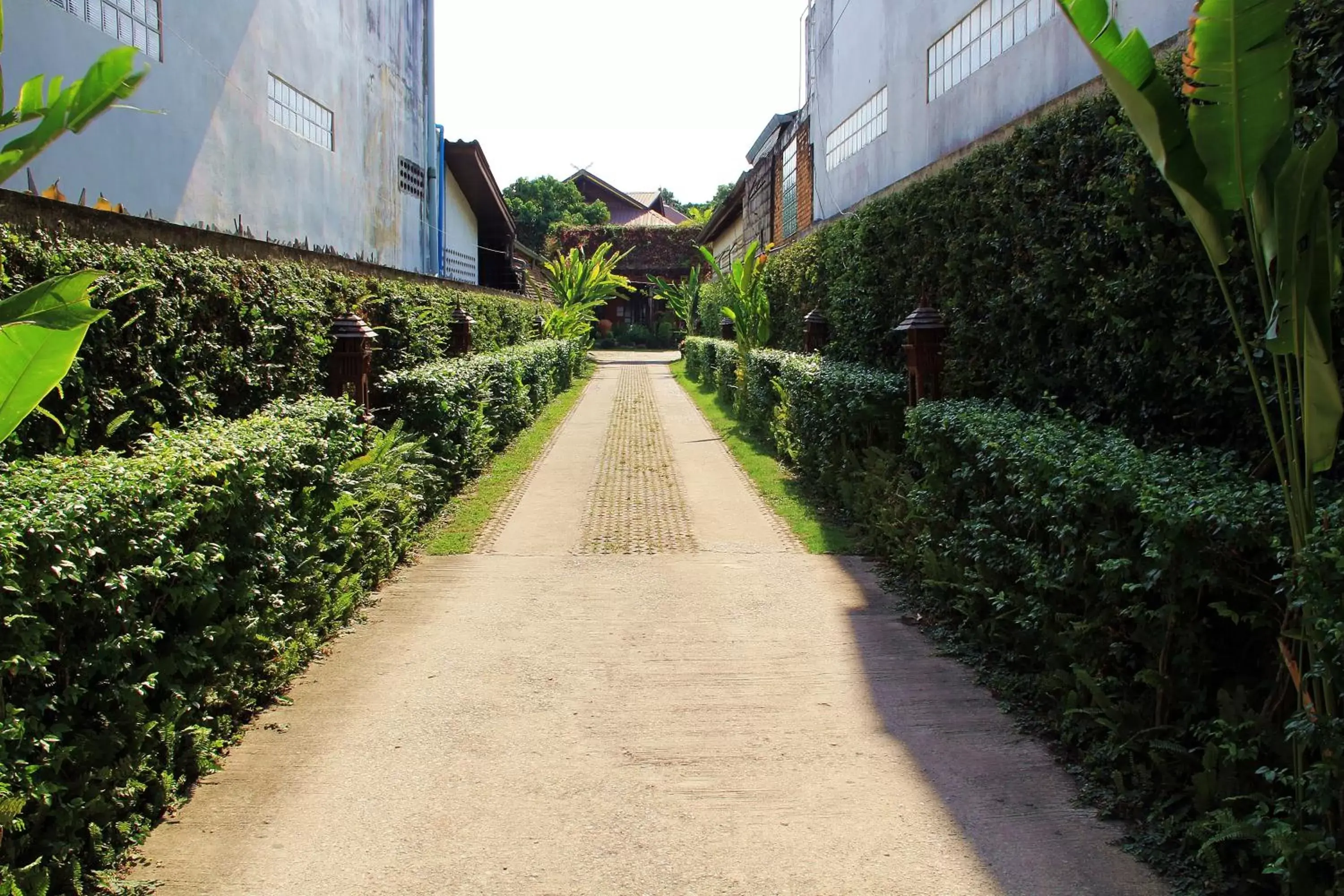 Garden in Namkhong Guesthouse and Resort