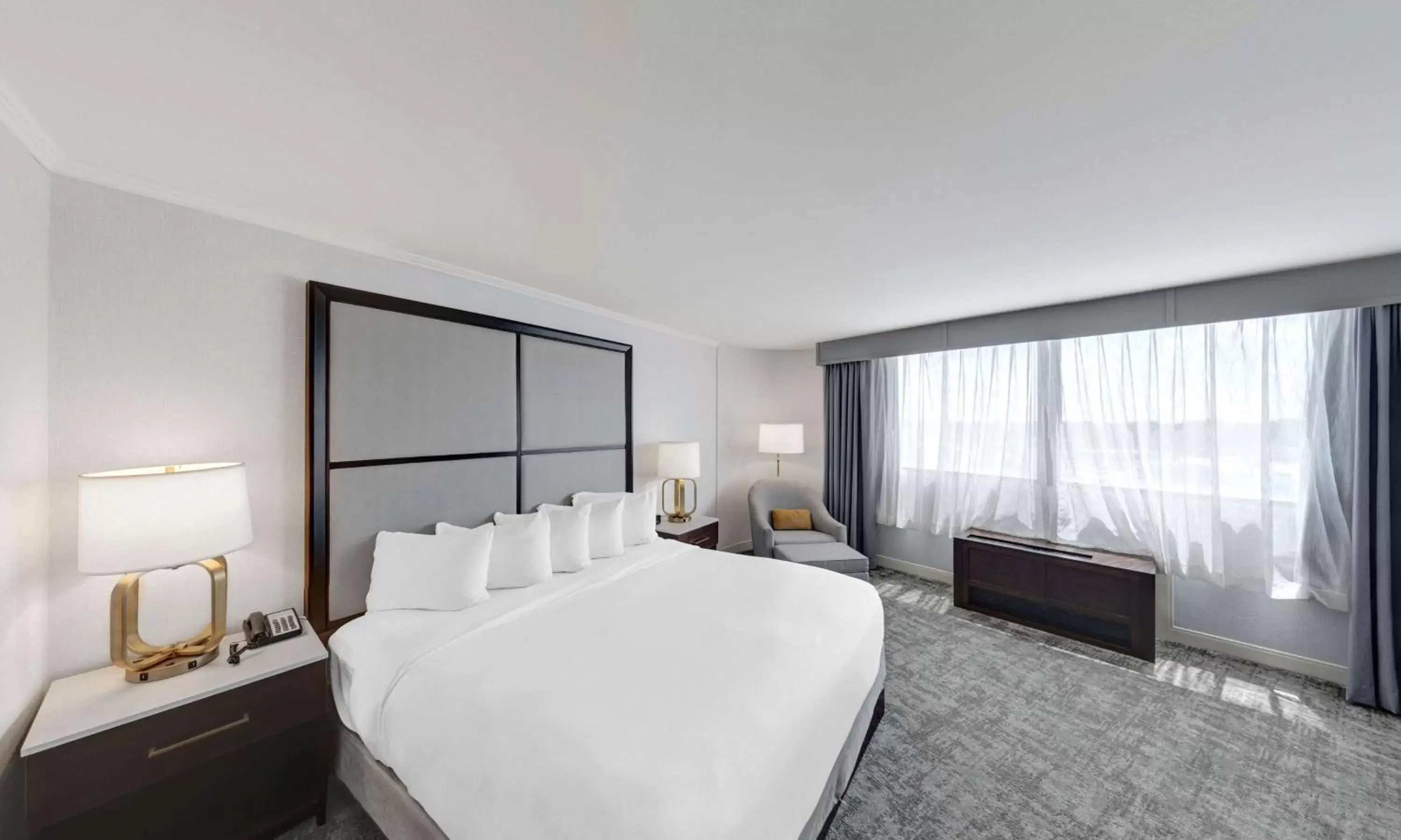 Living room, Bed in Hilton Chicago/Oak Lawn