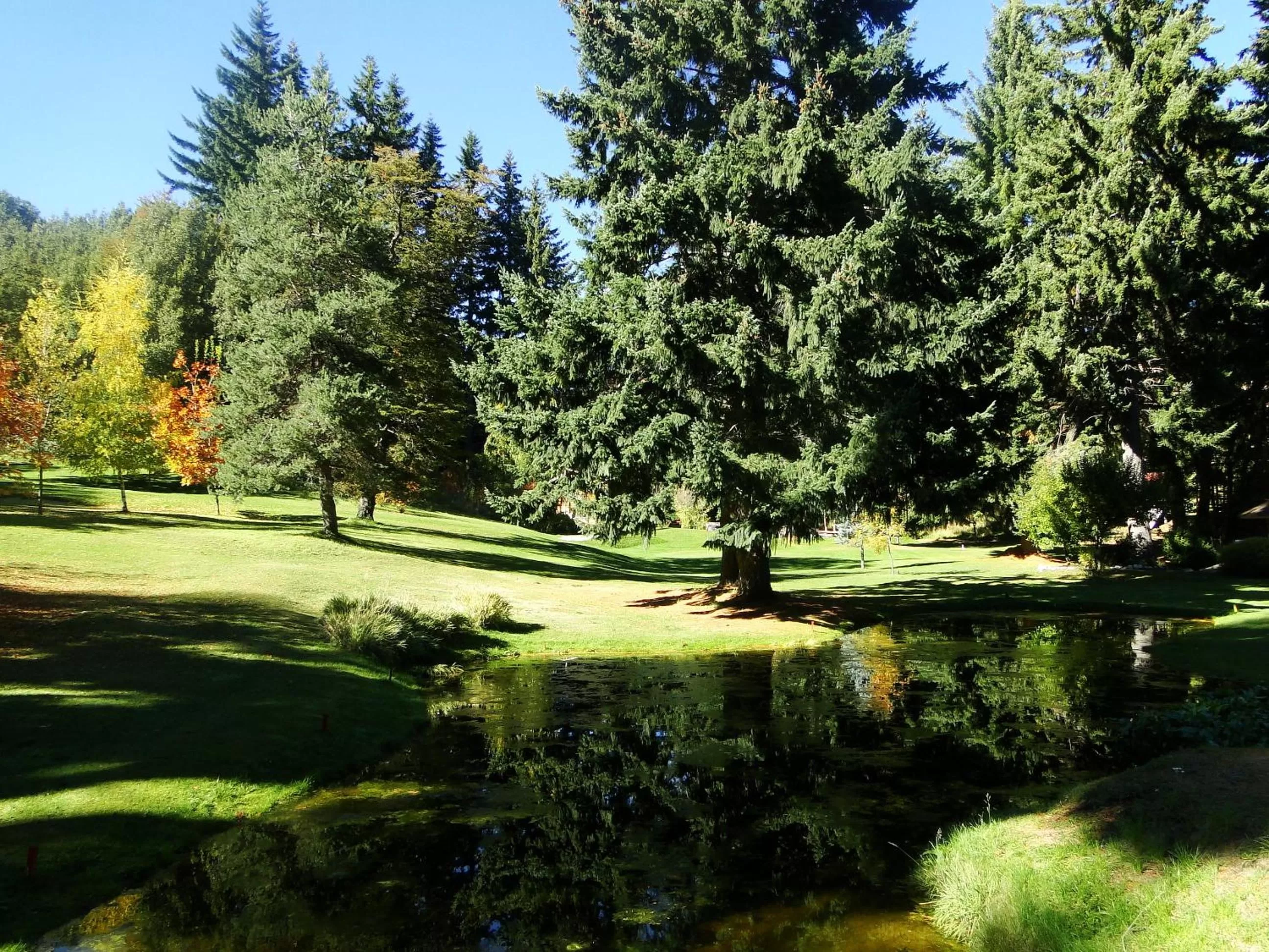 Garden view in Ruca Kuyen Golf & Resort