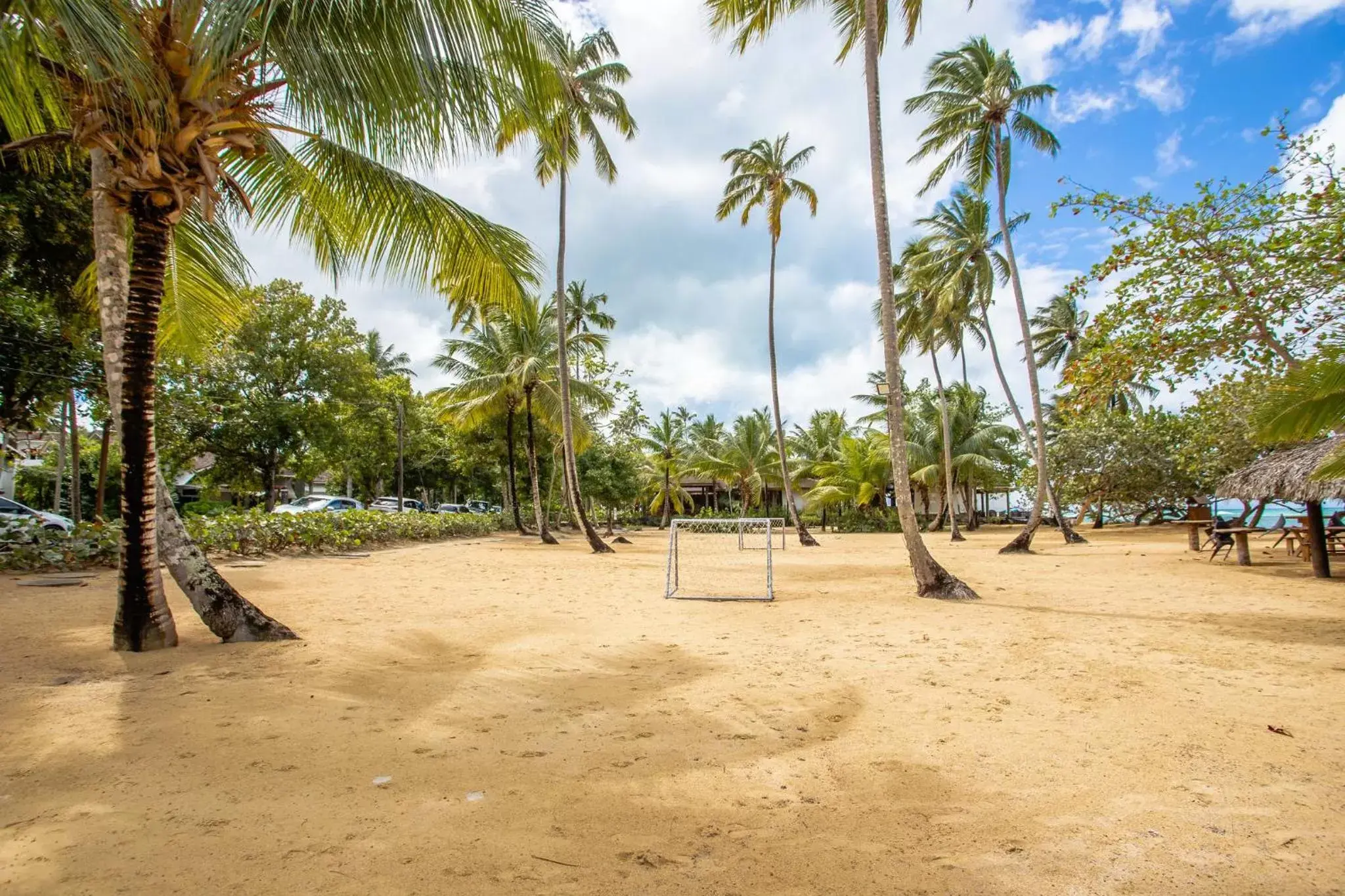 Activities, Beach in Xeliter Balcones del Atlantico - Las Terrenas