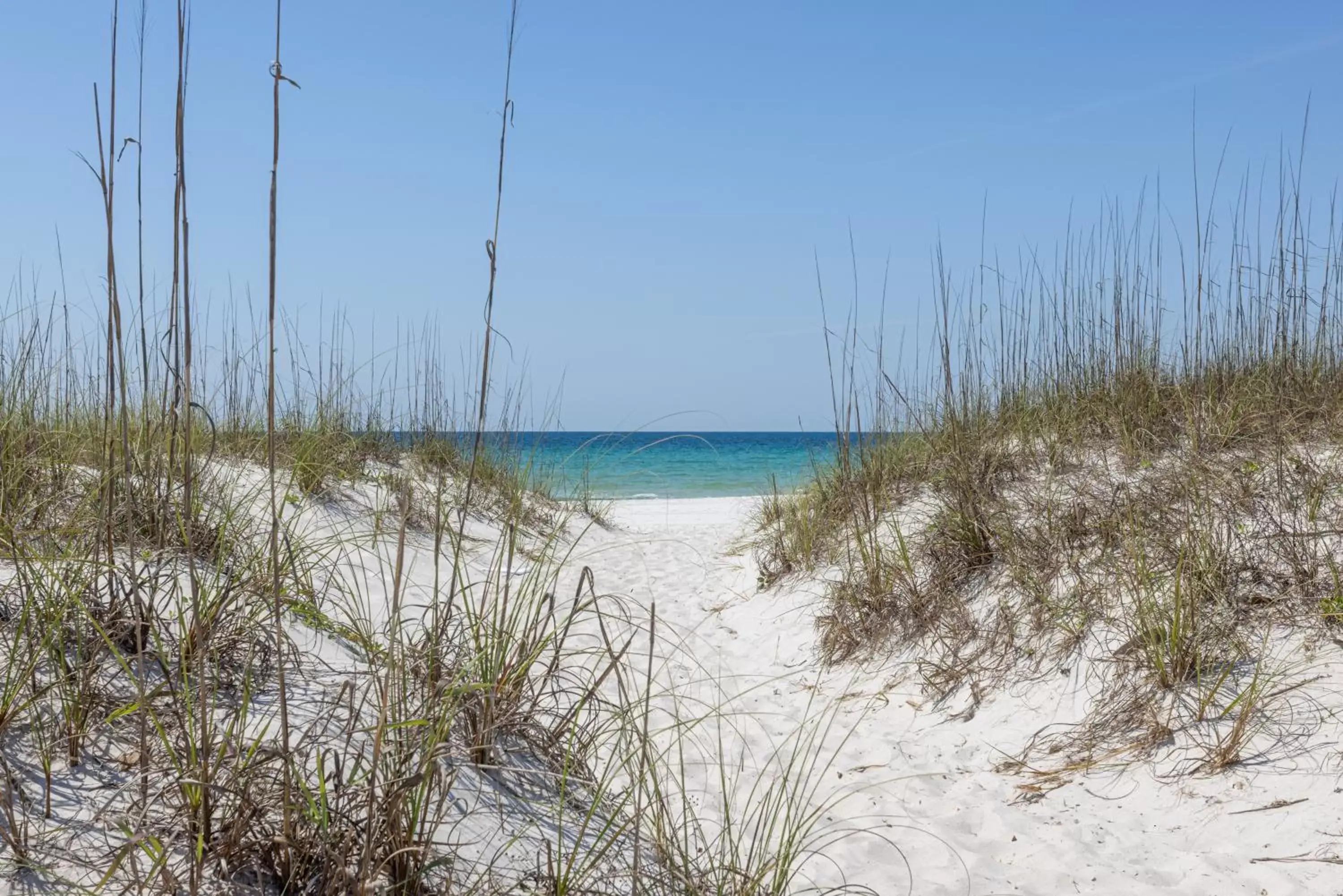 Beach in The Pensacola Beach Resort