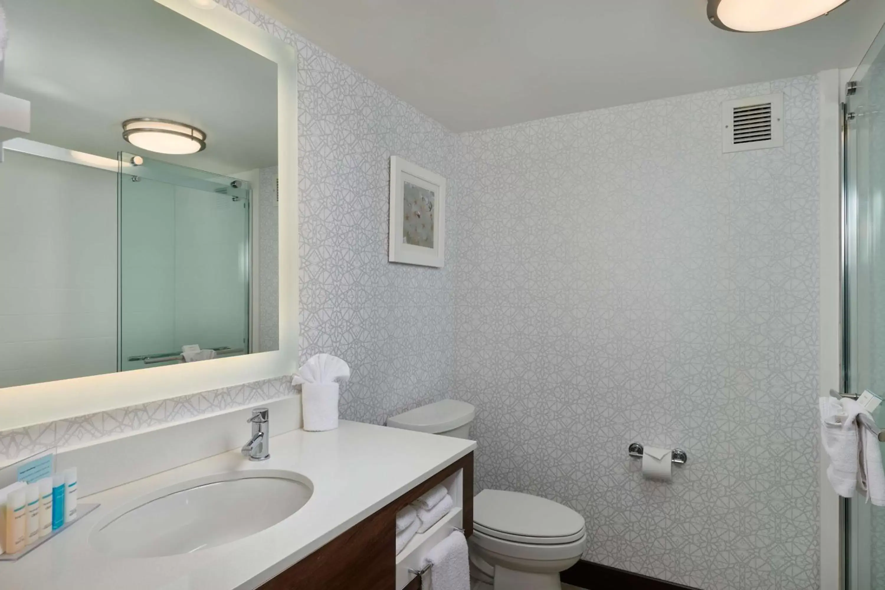 Bathroom in Hampton Inn Fairfax City