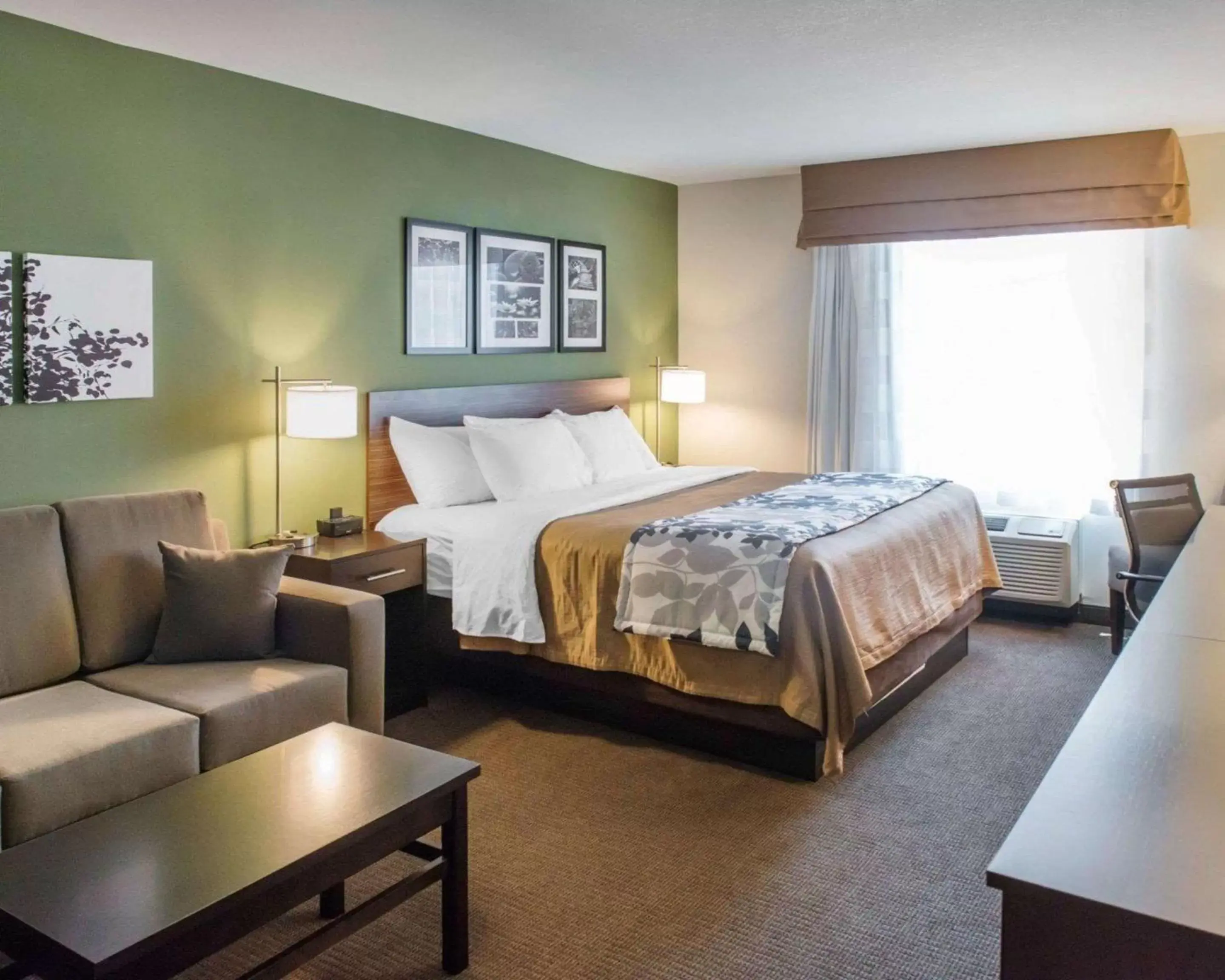 Photo of the whole room, Bed in Sleep Inn & Suites Defuniak Springs