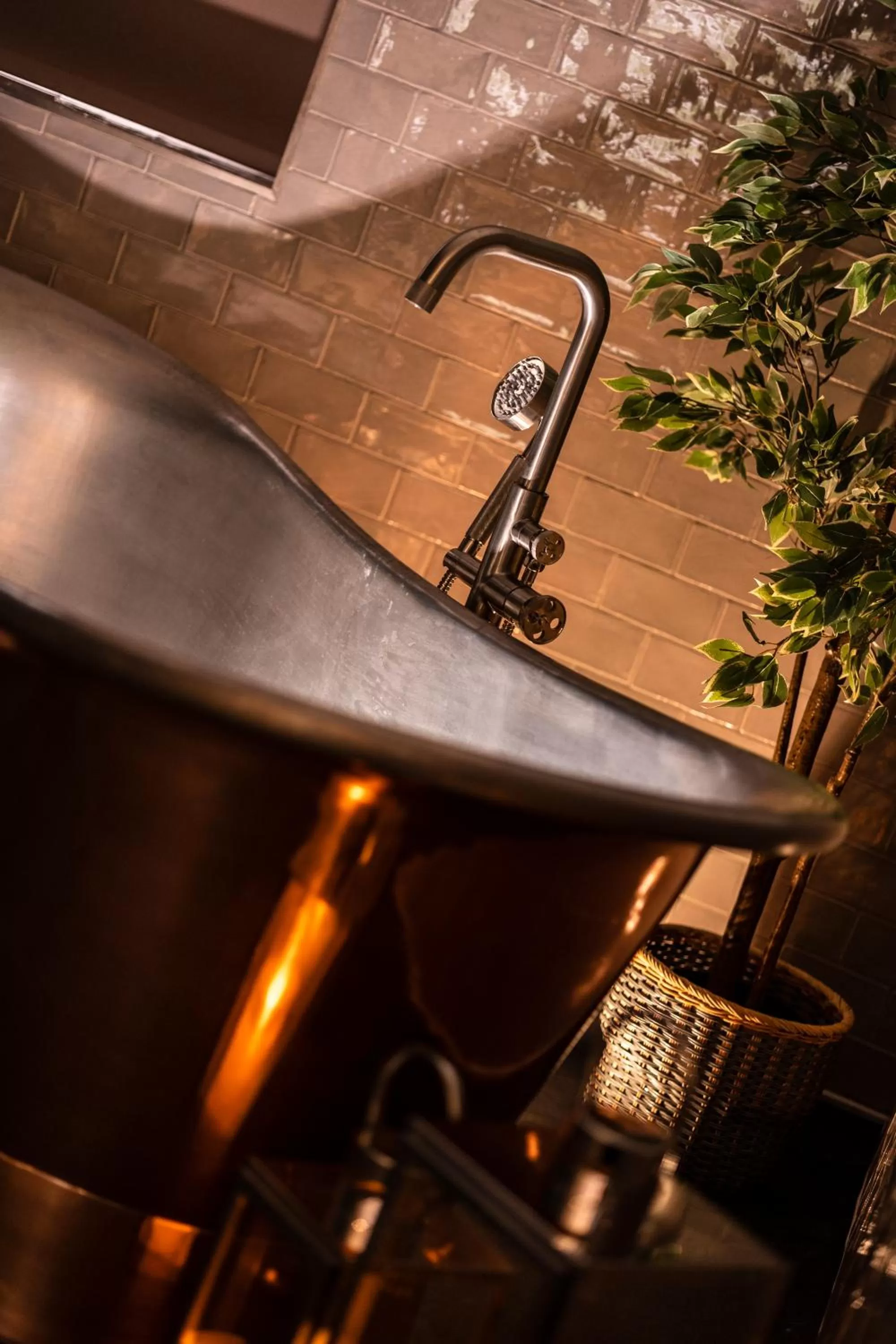 Bathroom, Kitchen/Kitchenette in South Causey Inn