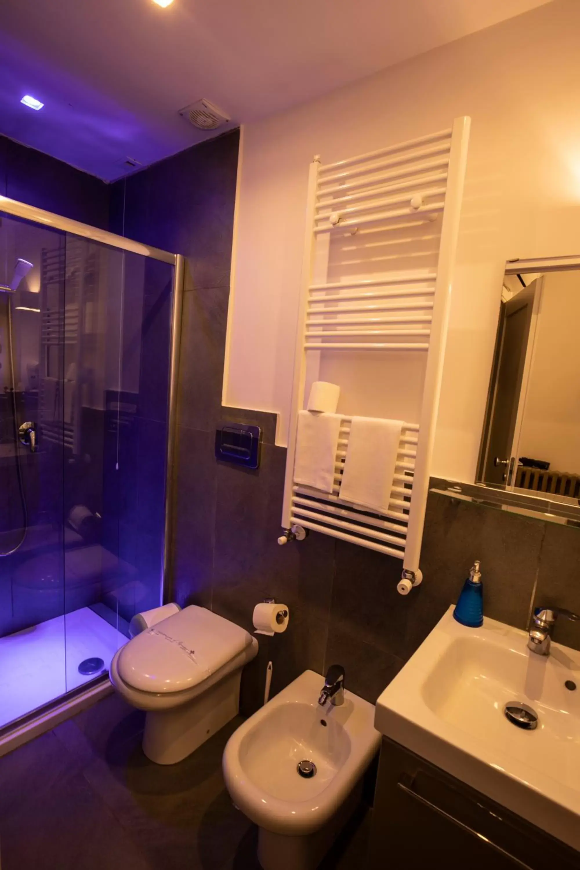 Shower, Bathroom in Hotel Assisivm Antica Dimora AD