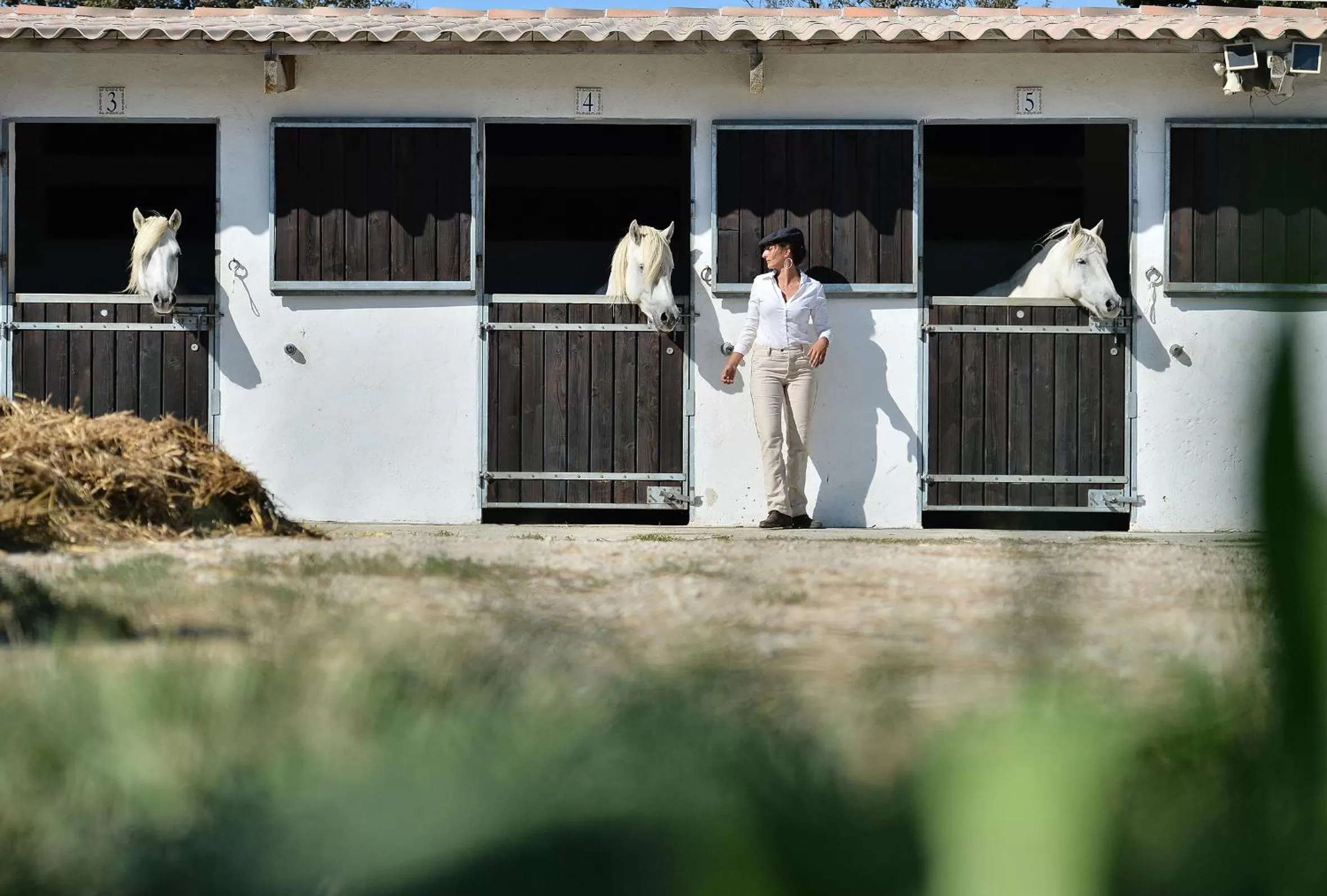 Day in Mas de la Grenouillère Hôtel et Centre équestre en pleine nature