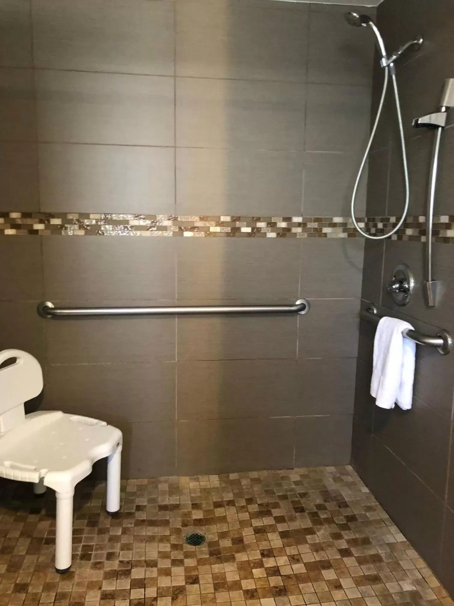 Shower, Bathroom in Vagabond Inn Sunnyvale