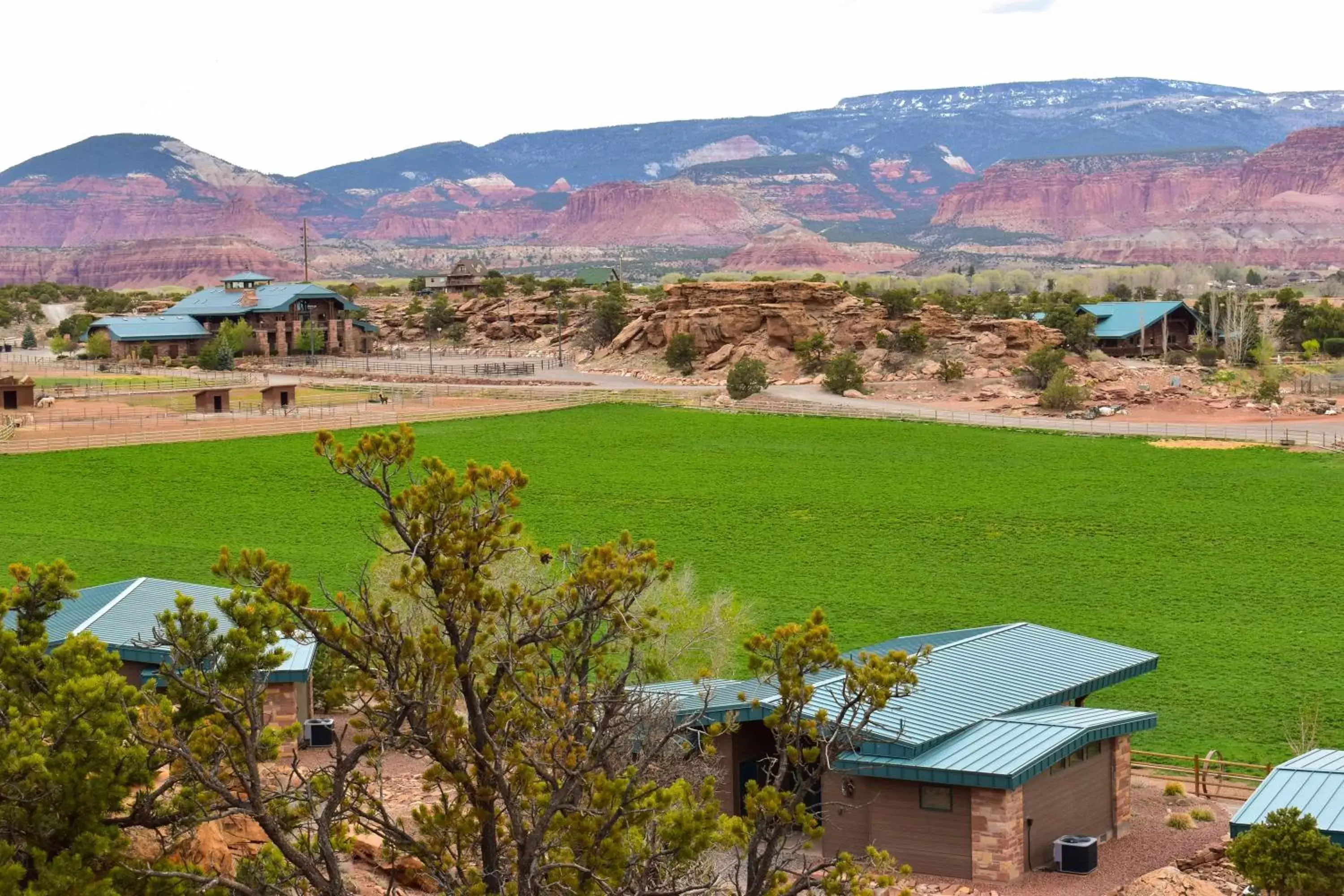 Natural landscape in Cougar Ridge