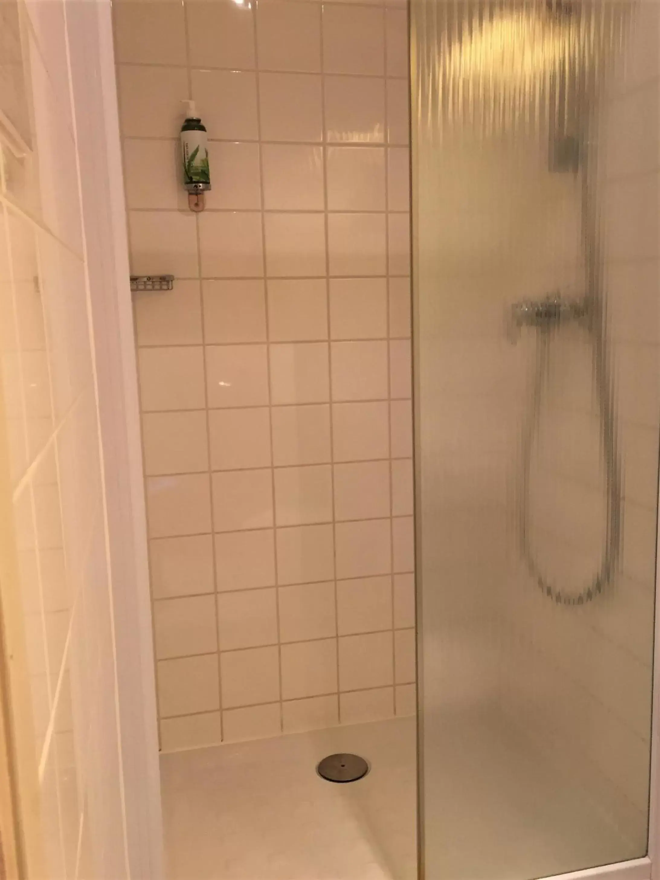 Shower, Bathroom in Hotel De La Paix