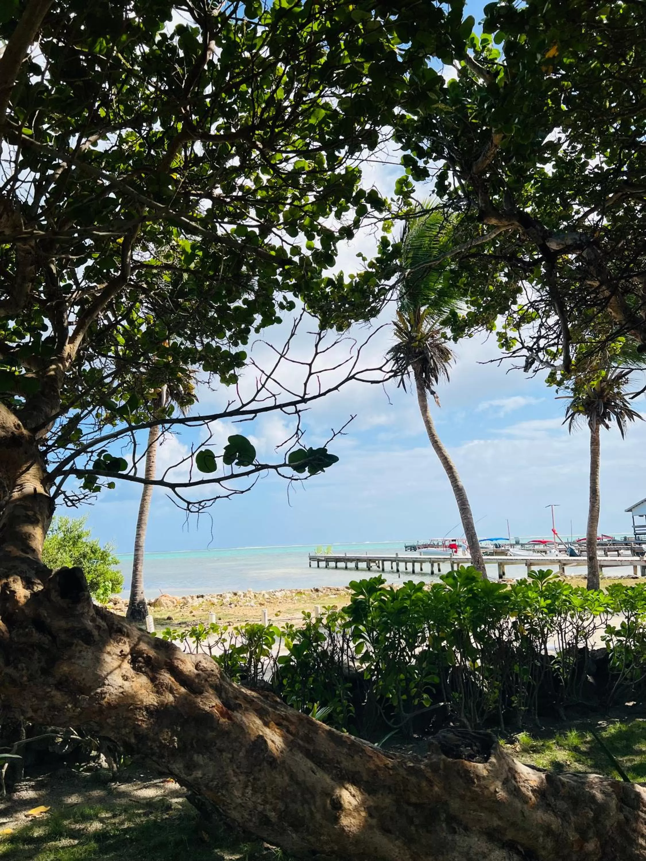 Beach in Hotel Del Rio
