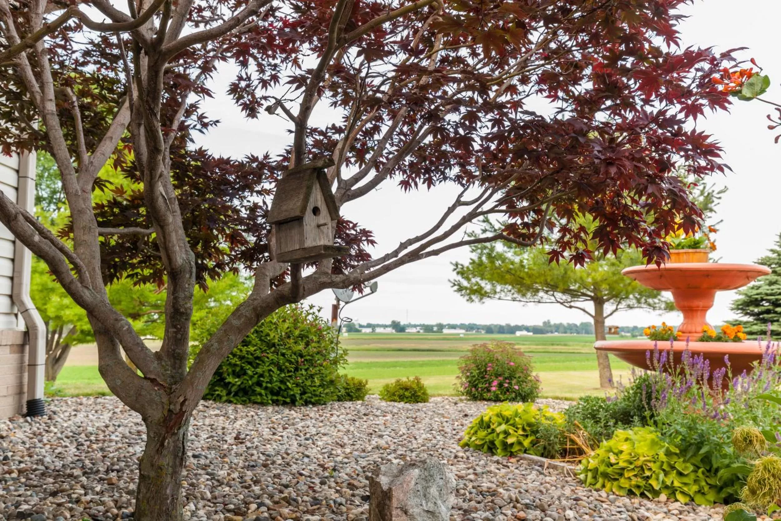 Scottish Bed & Breakfast