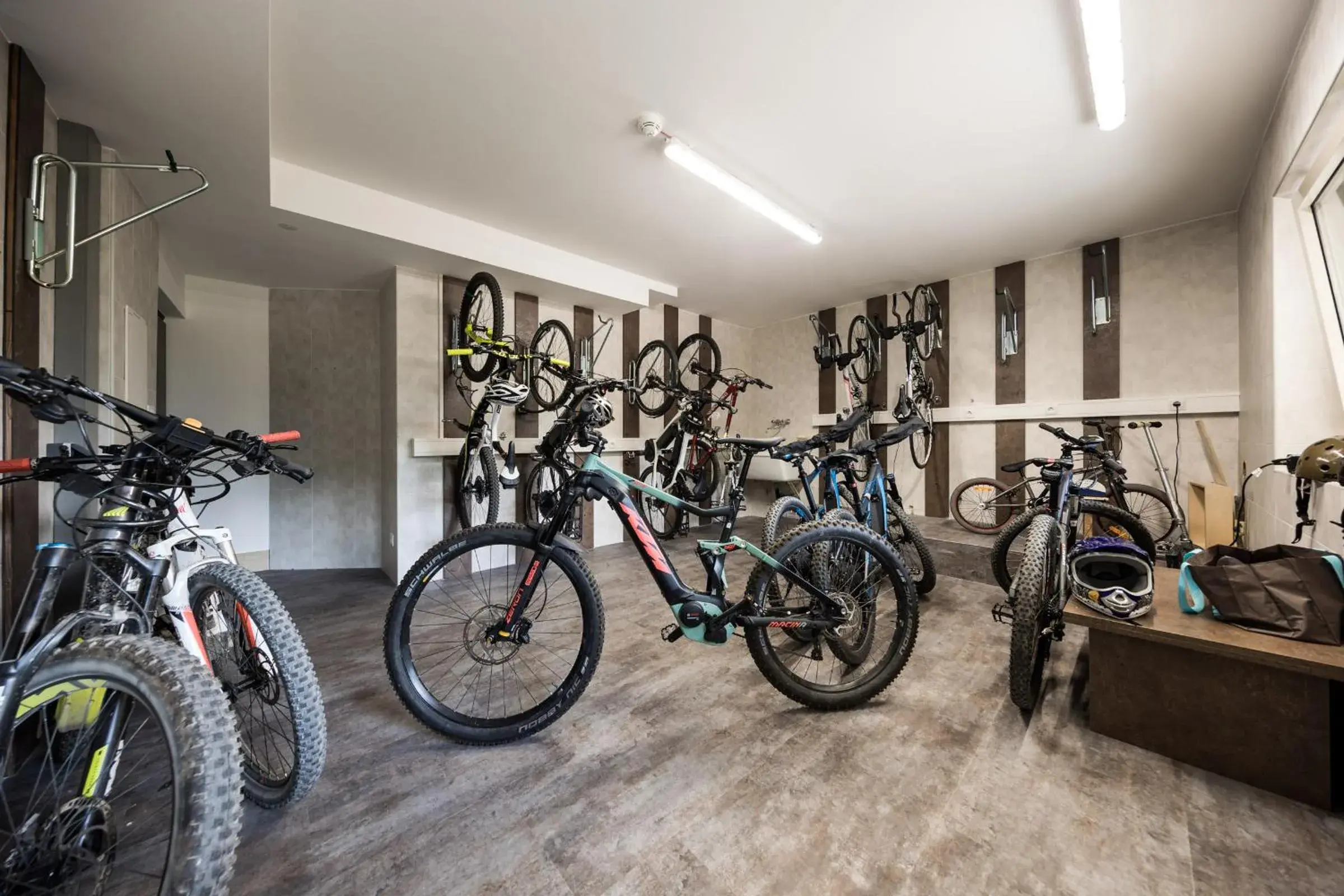 Cycling, Other Activities in Hotel Der Weinmesser