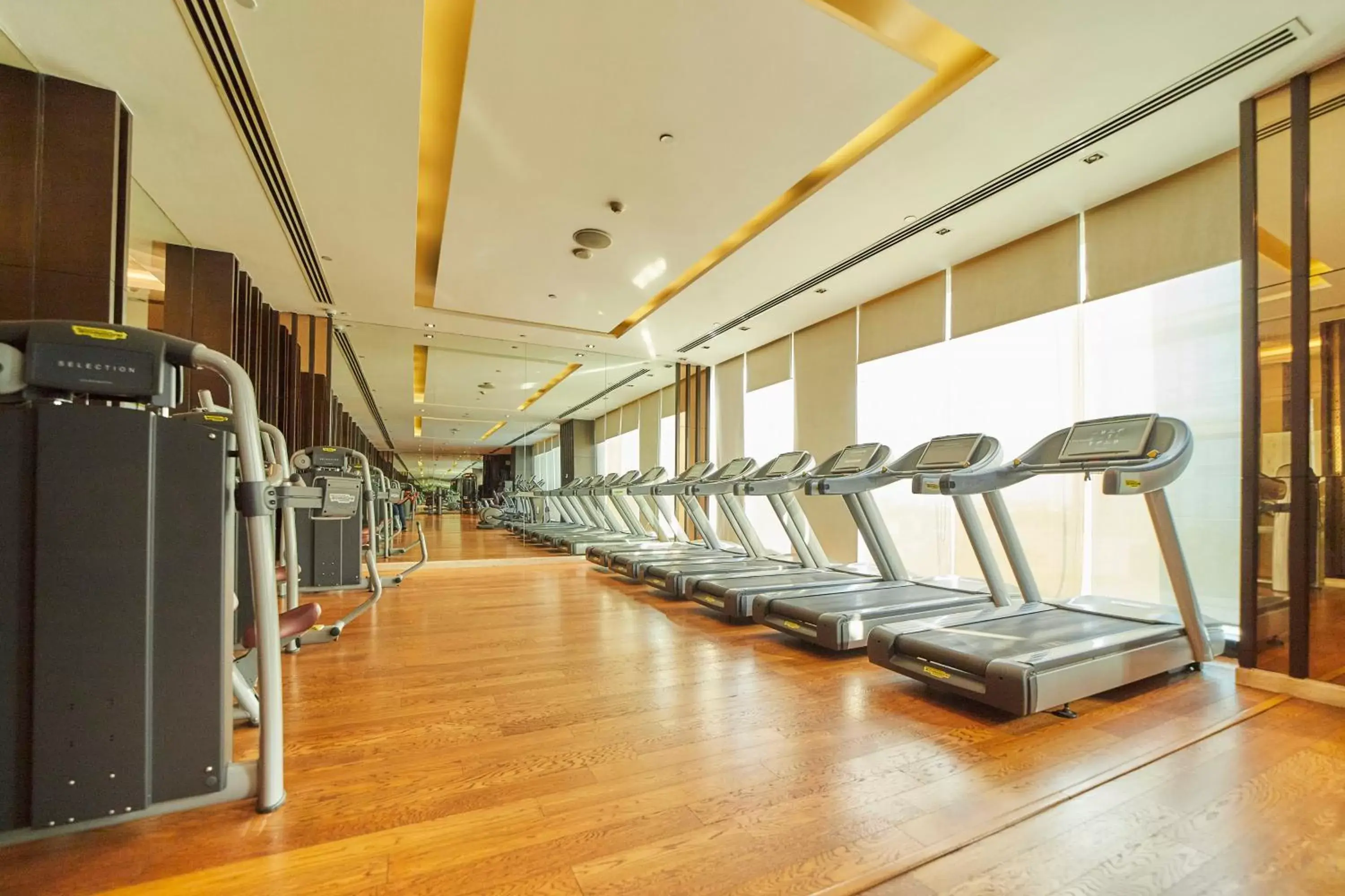 Fitness centre/facilities, Fitness Center/Facilities in Crowne Plaza New Delhi Rohini, an IHG Hotel