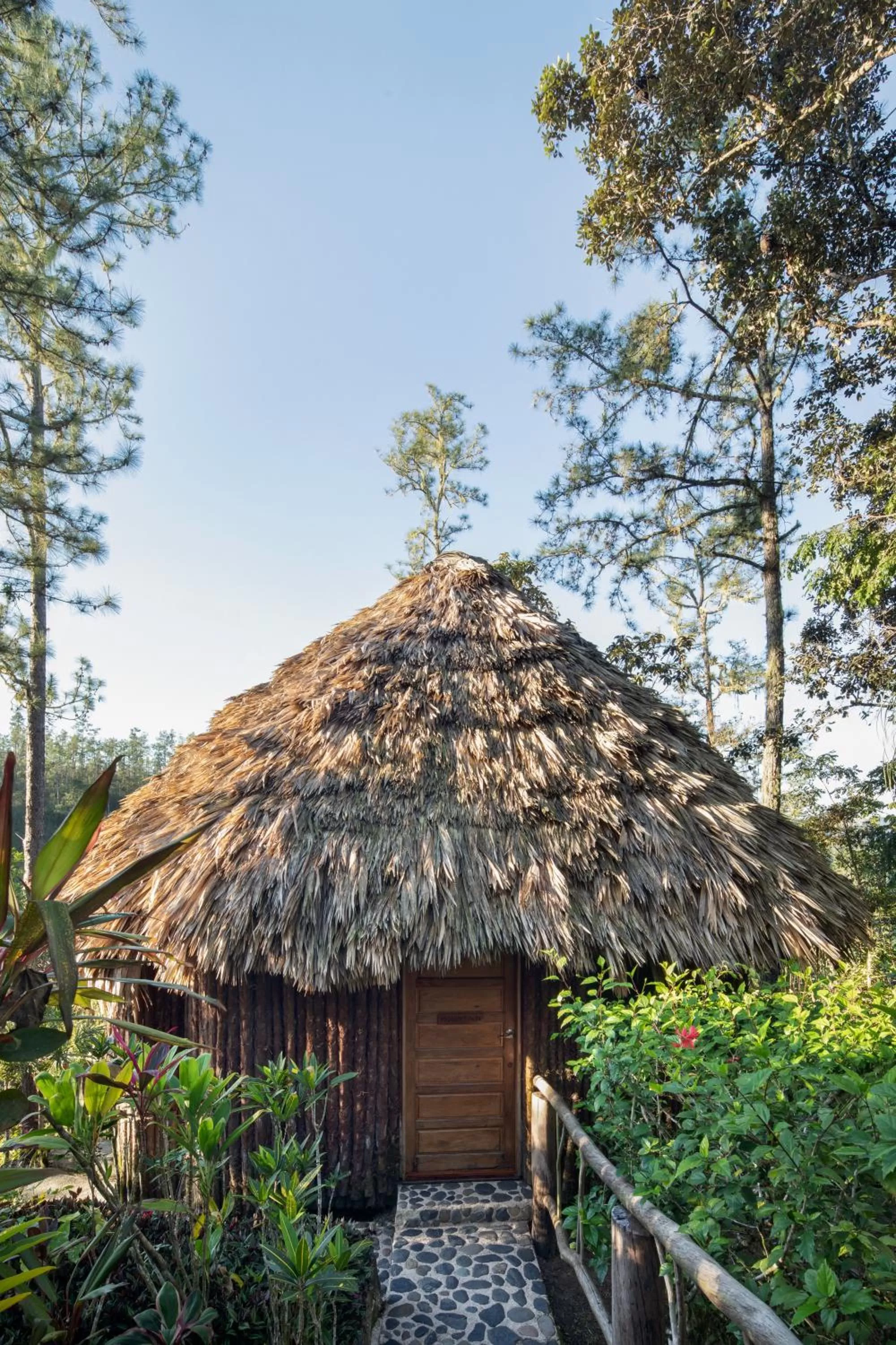 Garden view in Gaia Riverlodge