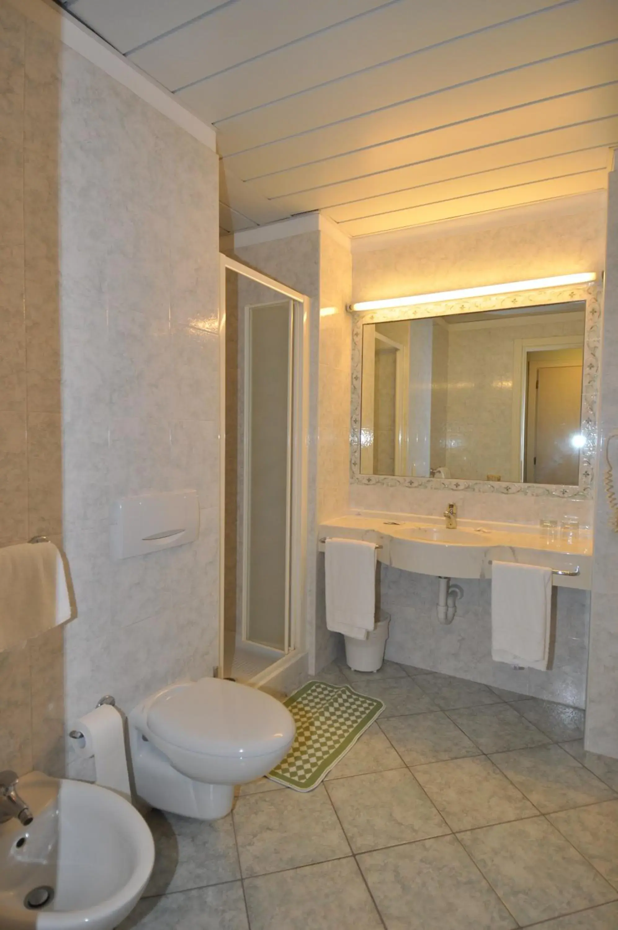 Shower, Bathroom in Hotel Moderno