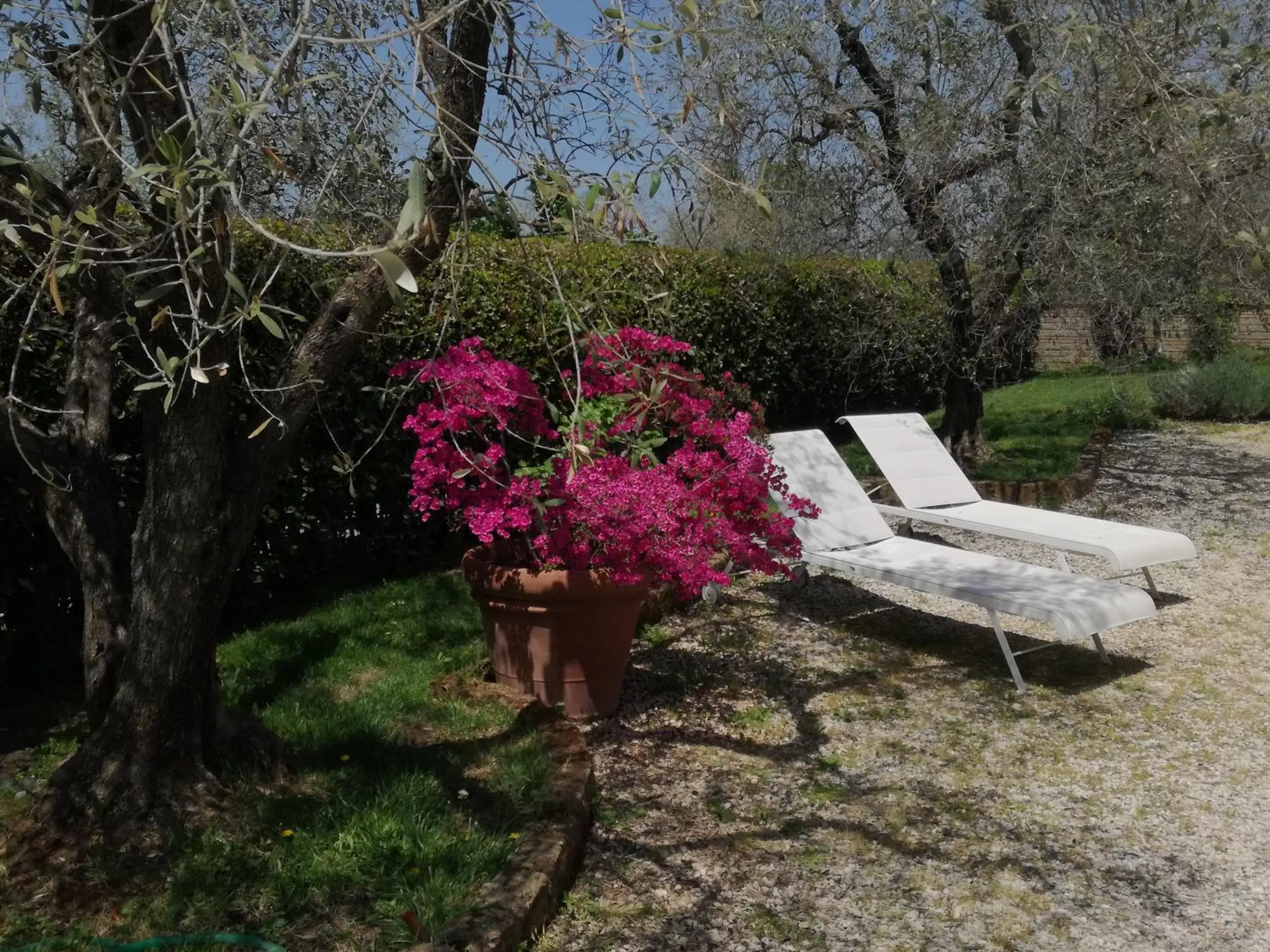 Garden in B&B La Casetta di Ben