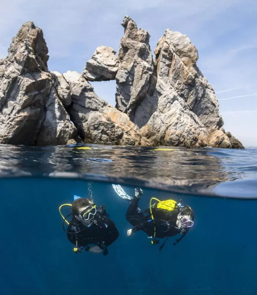 Diving in Hôtel Le Méditerranée