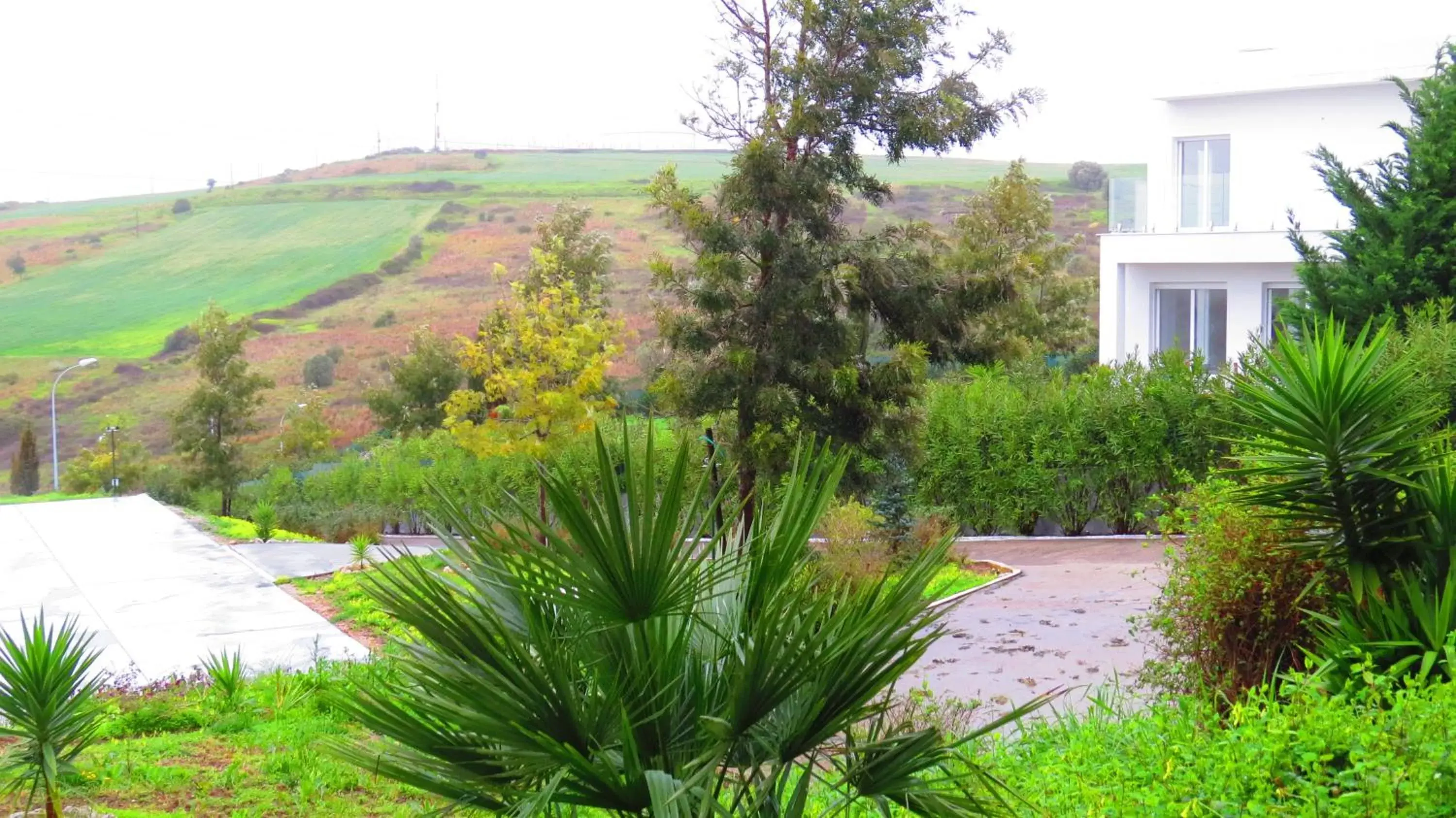 View (from property/room), Garden in HILLTOP OASIS Lisboa Oeiras