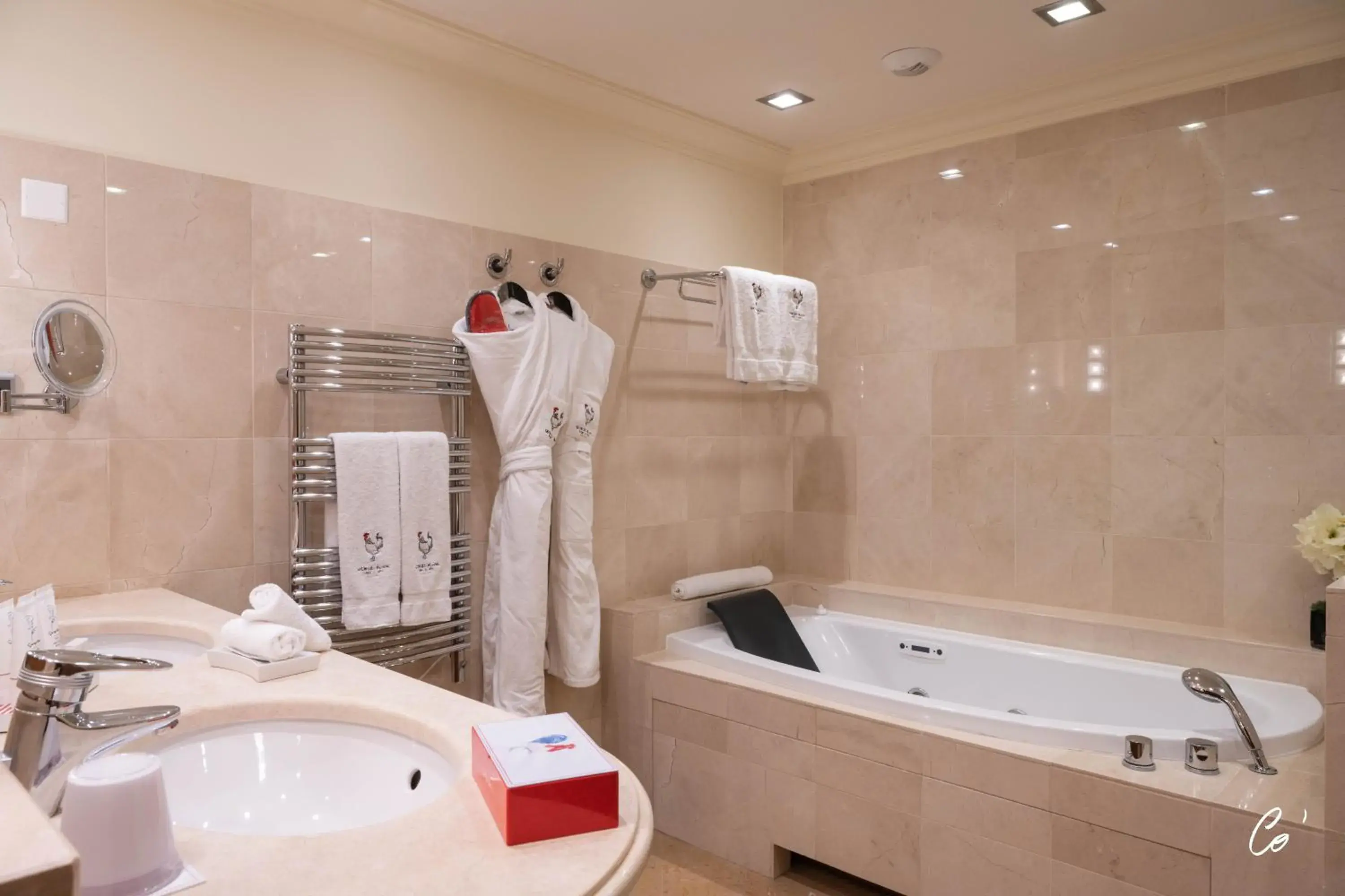 Bathroom in Georges Blanc Parc & Spa