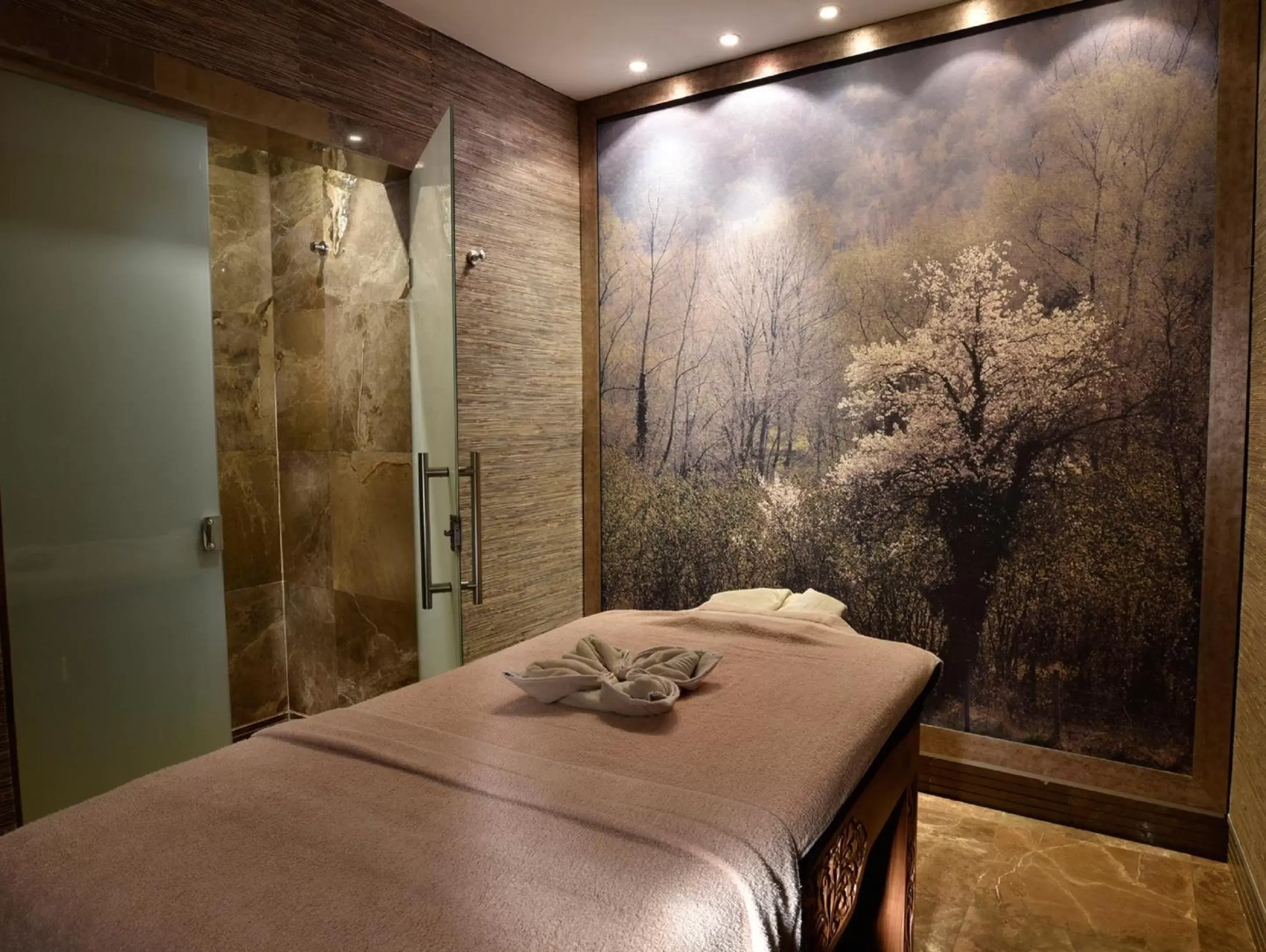 Massage, Spa/Wellness in CVK Taksim Hotel Istanbul