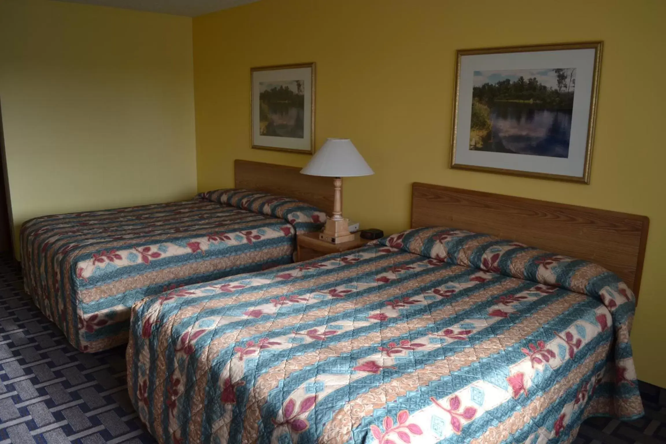 Photo of the whole room, Bed in Sky Lodge Inn & Suites - Delavan