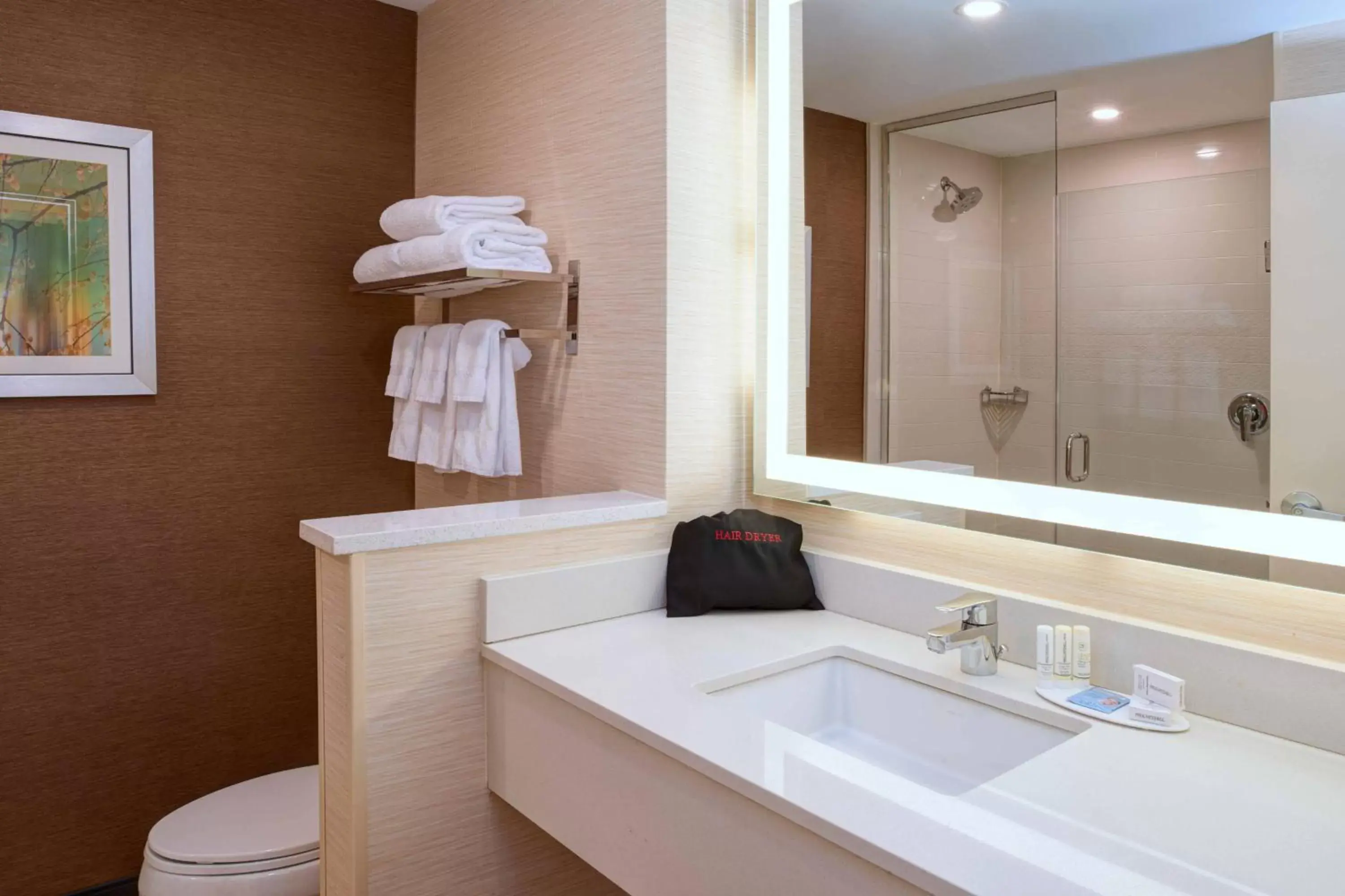 Bathroom in Fairfield Inn & Suites By Marriott Ann Arbor Ypsilanti