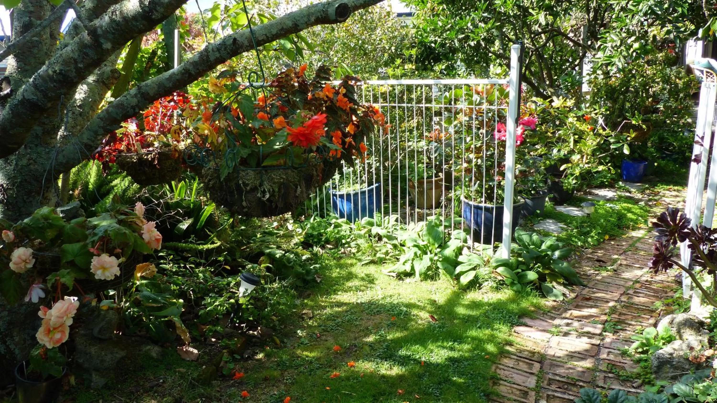 Day in Ashcroft Gardens Bed & Breakfast