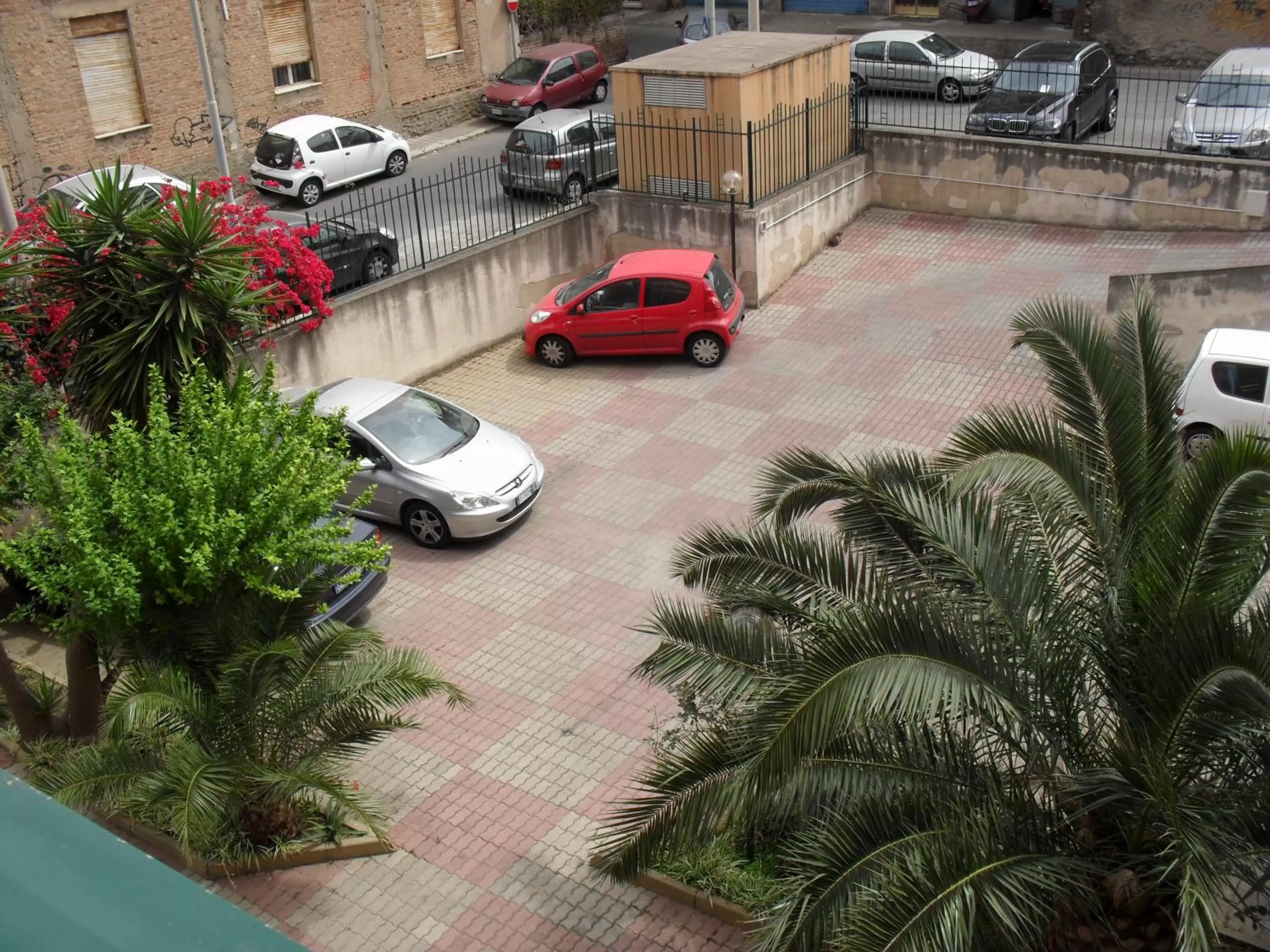 Garden view in Agave