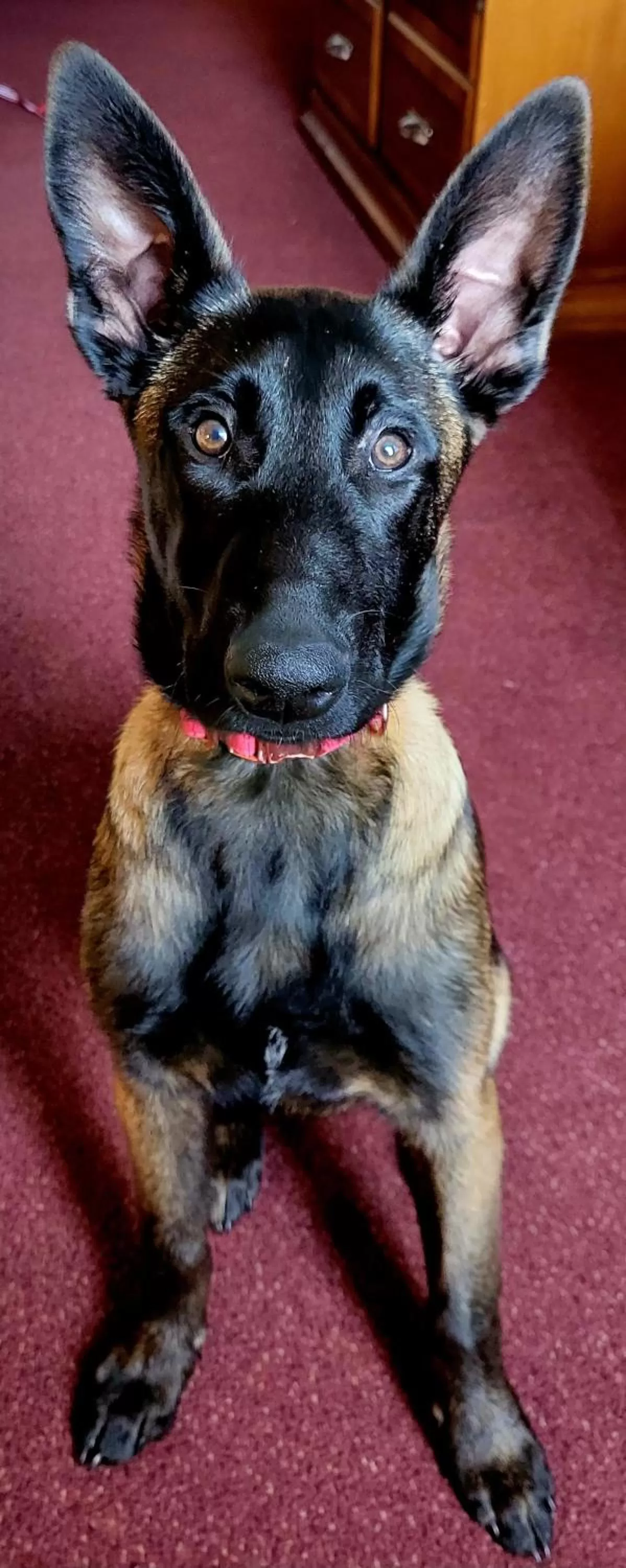 Bedroom in Bangor Grande Hotel