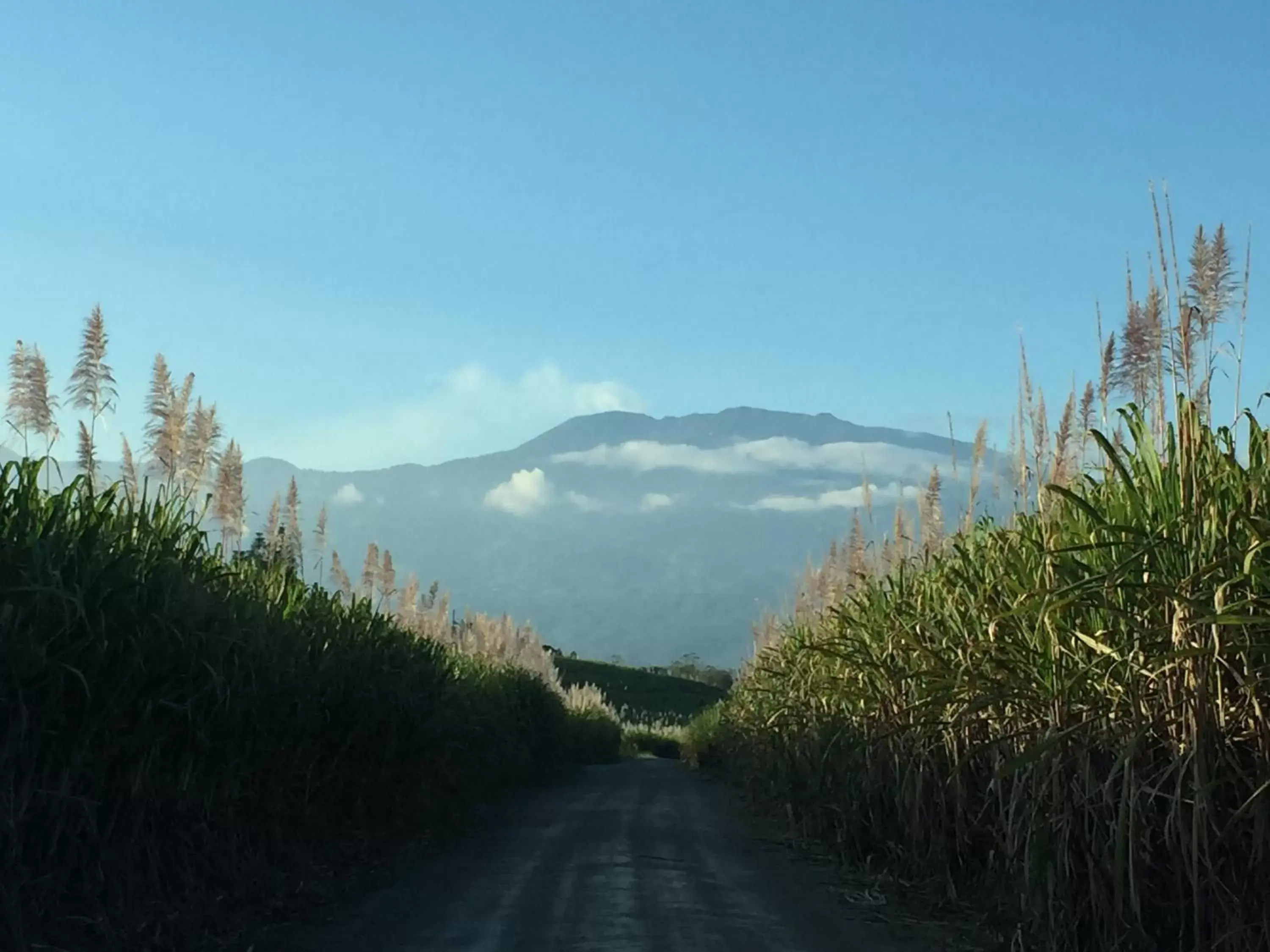 Natural landscape in Hotel Villa Florencia