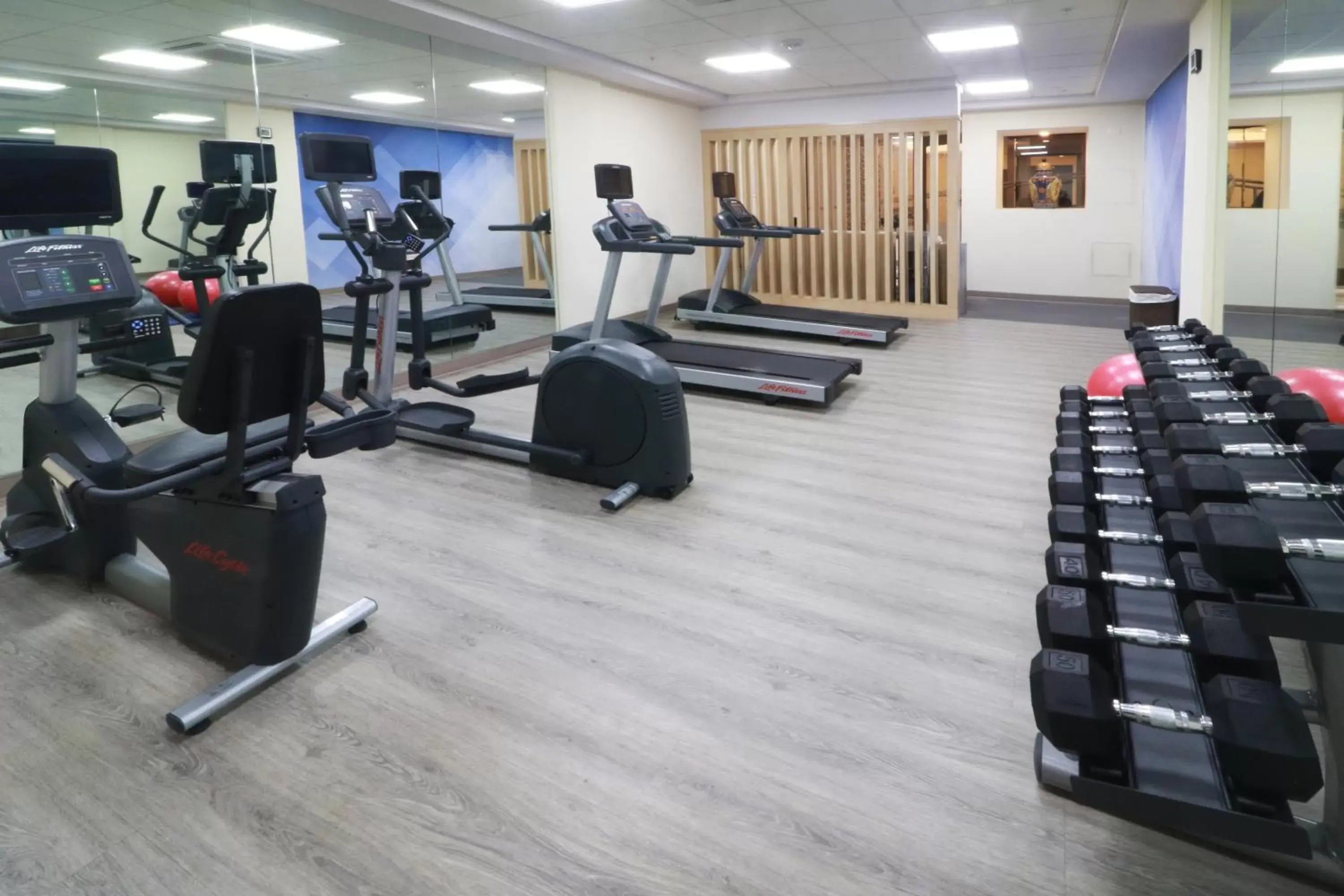 Fitness centre/facilities, Fitness Center/Facilities in Holiday Inn Hotel & Suites Centro Historico, an IHG Hotel