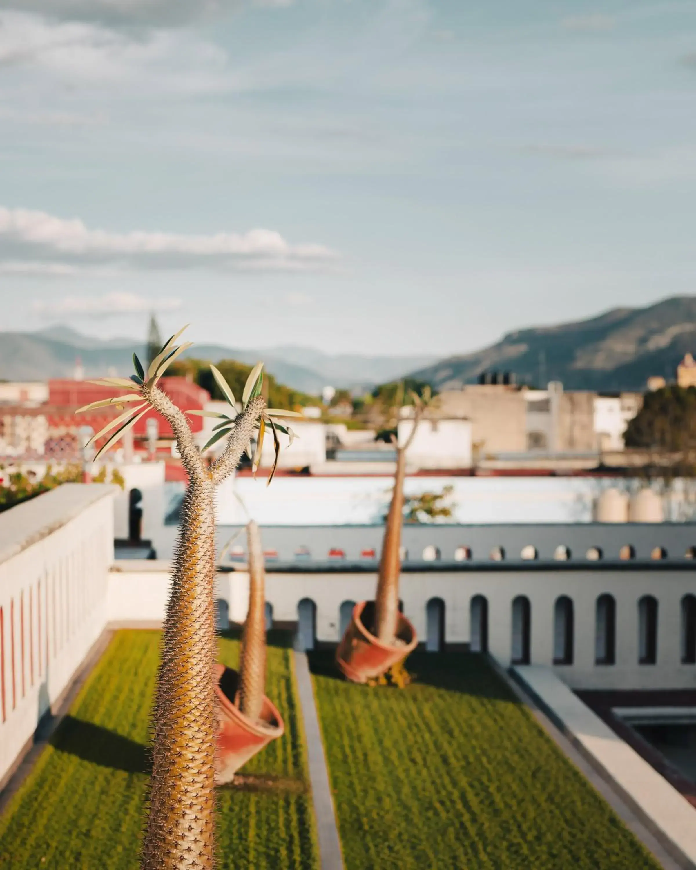 Balcony/Terrace in Hotel Casa Antigua