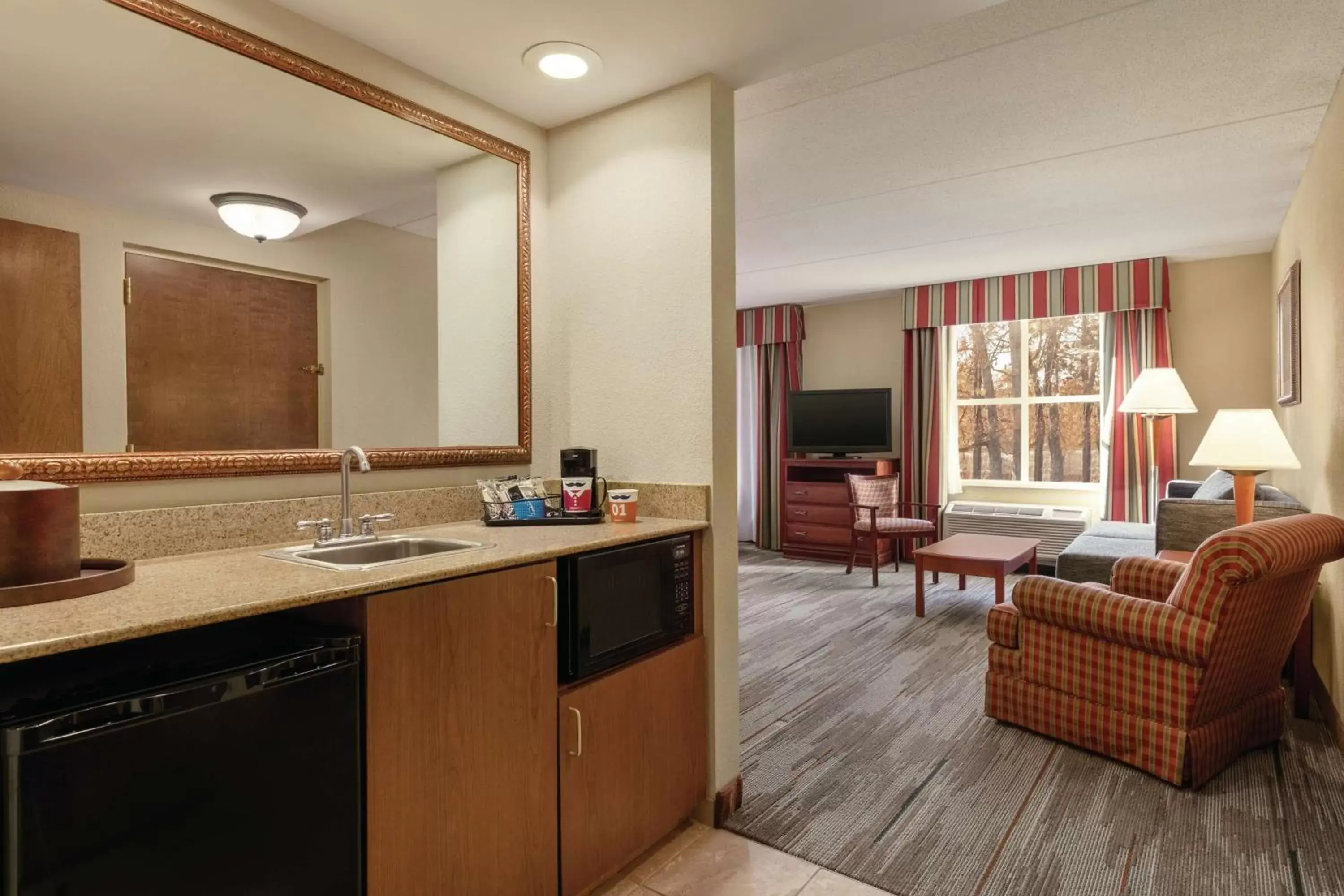 Living room in Hampton Inn & Suites Williamsburg Historic District