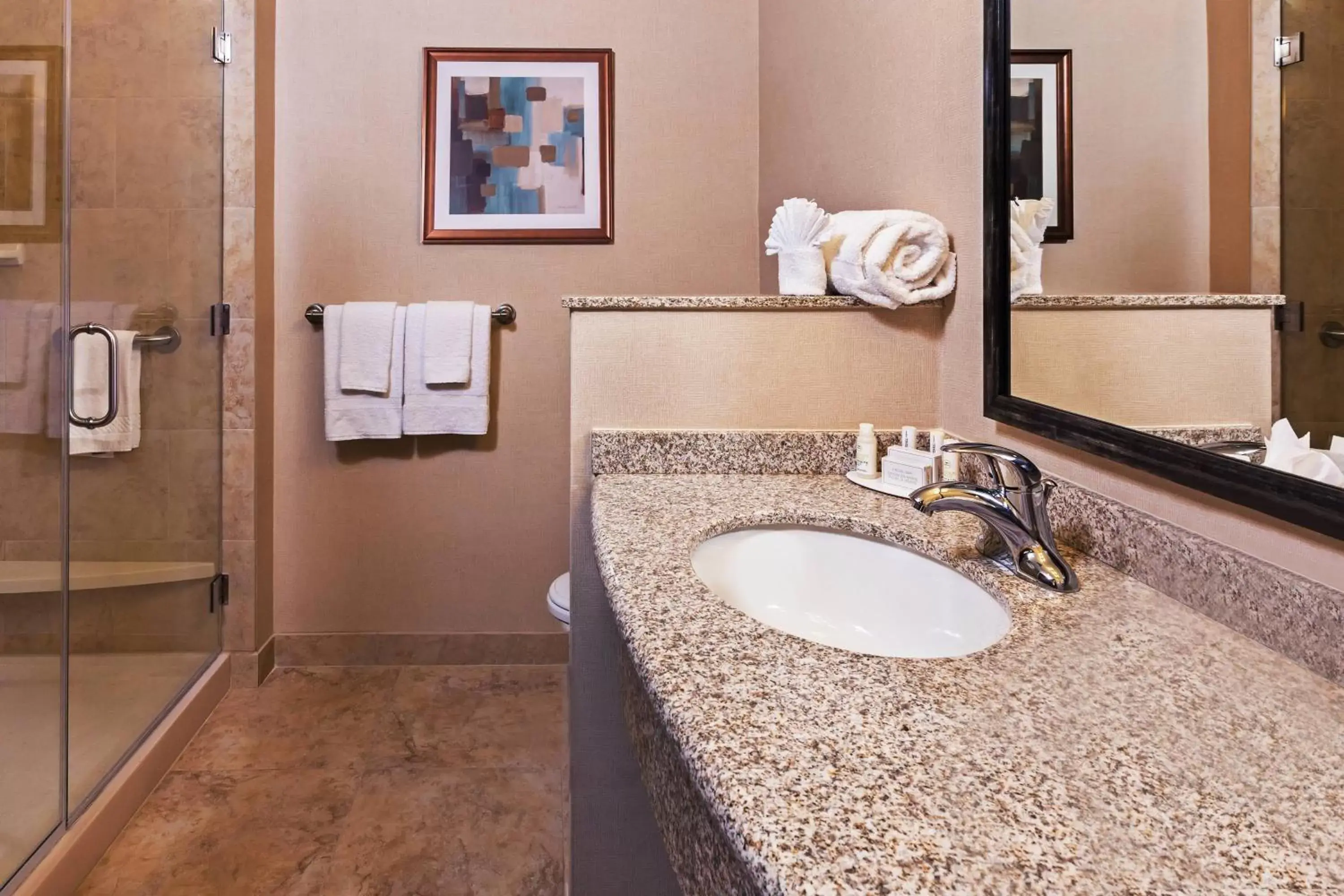 Bathroom in Courtyard by Marriott Odessa