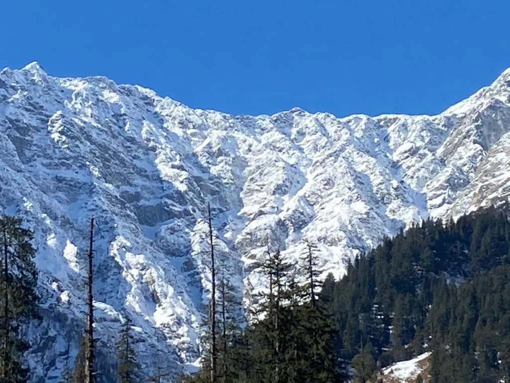 Solang Valley Resort