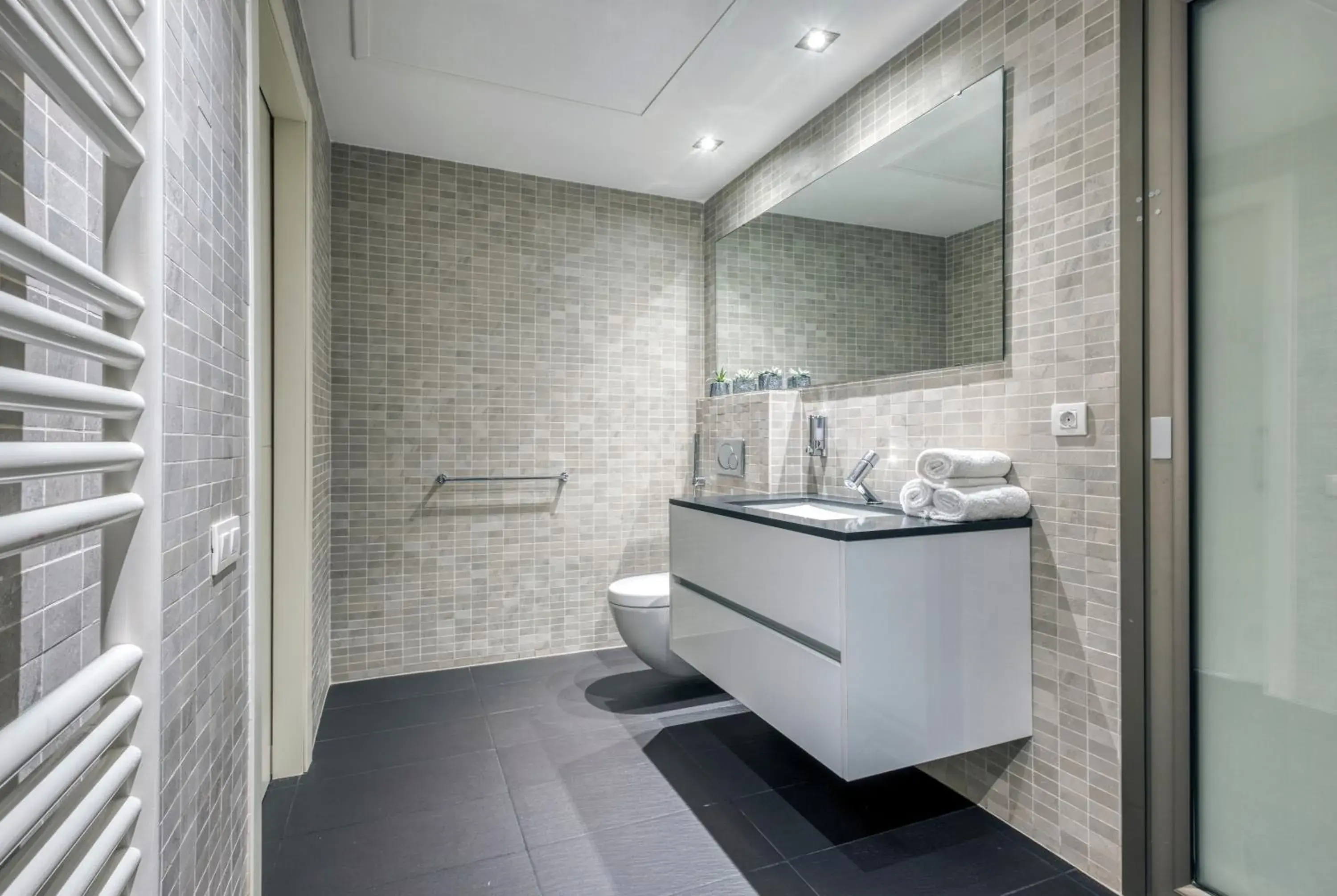 Shower, Bathroom in Paseo de Gracia Bas Apartments by Aspasios