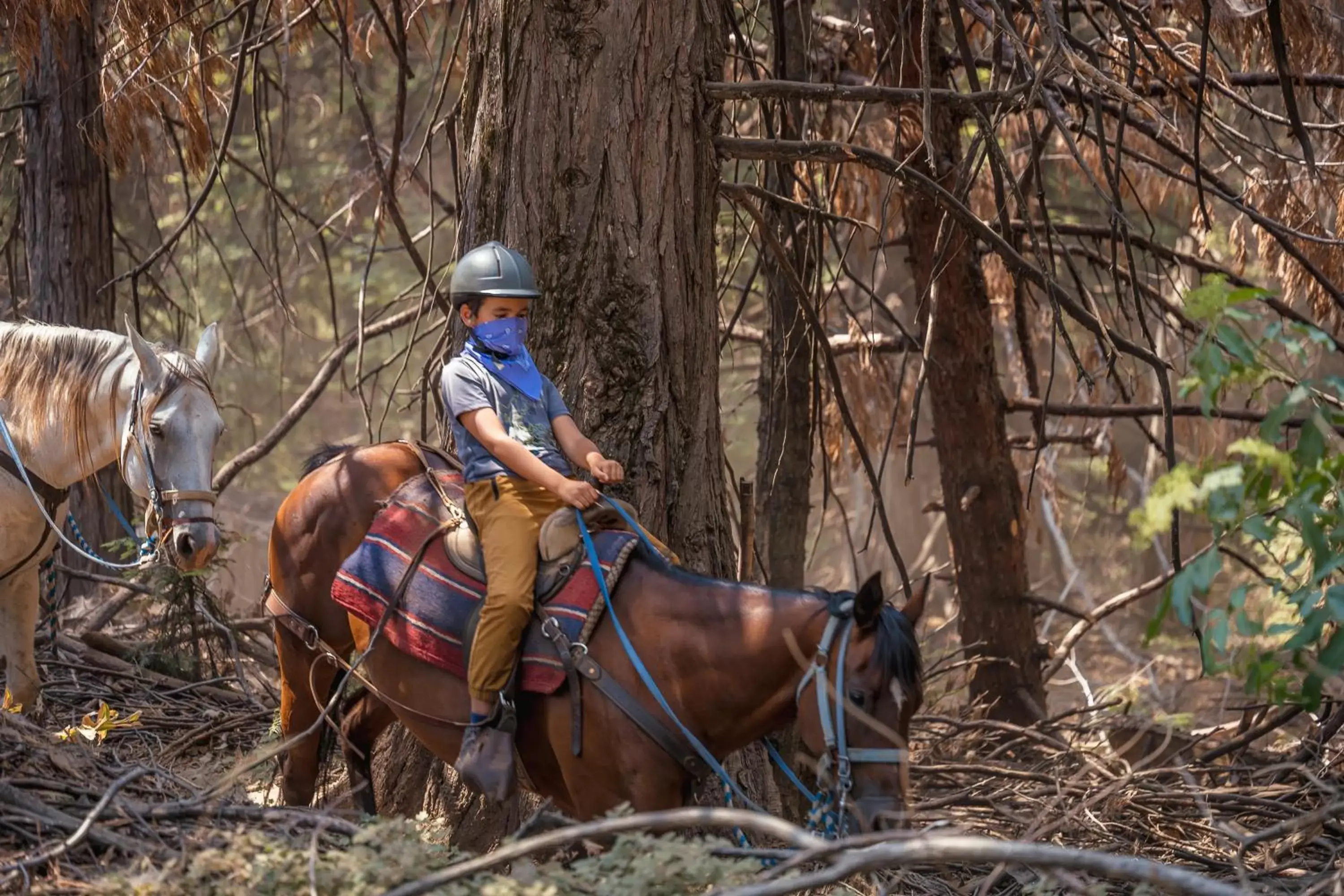 Activities, Horseback Riding in Tenaya at Yosemite