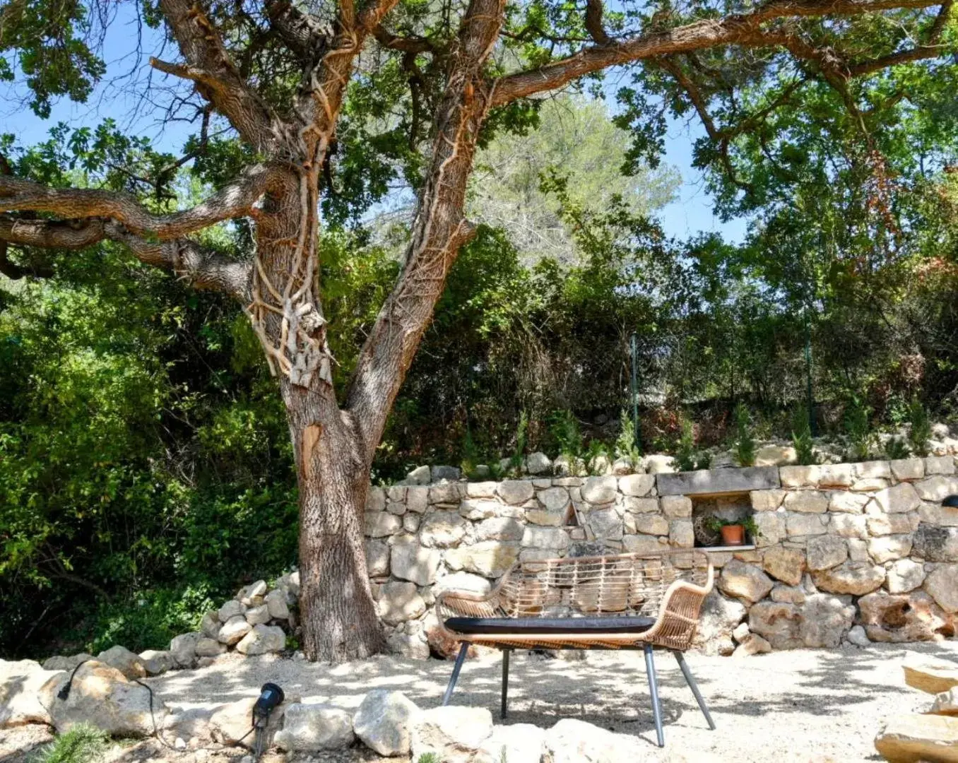 Garden in Chambre d'hôtes Cottes