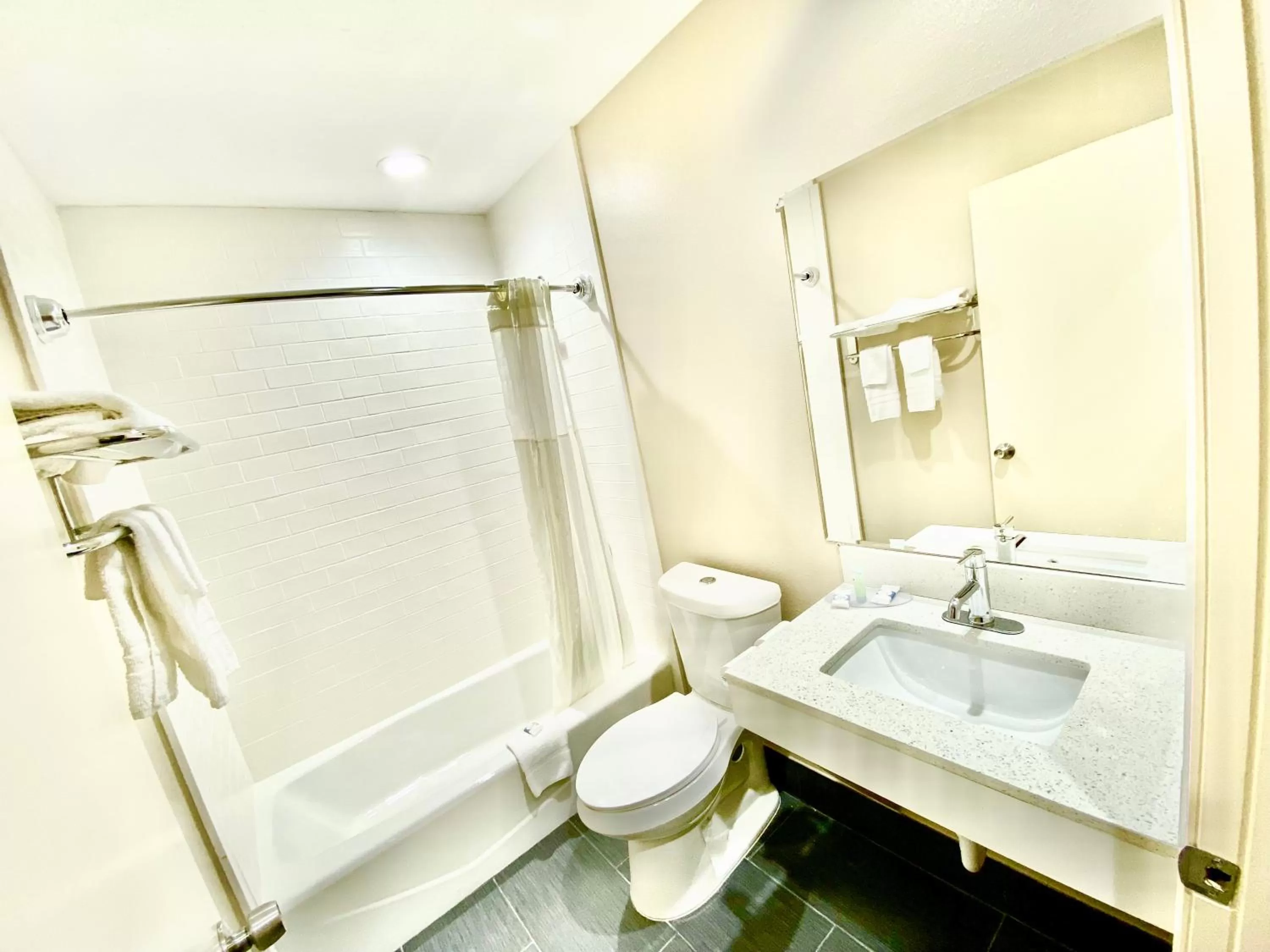 Toilet in Regency Inn & Suites DFW