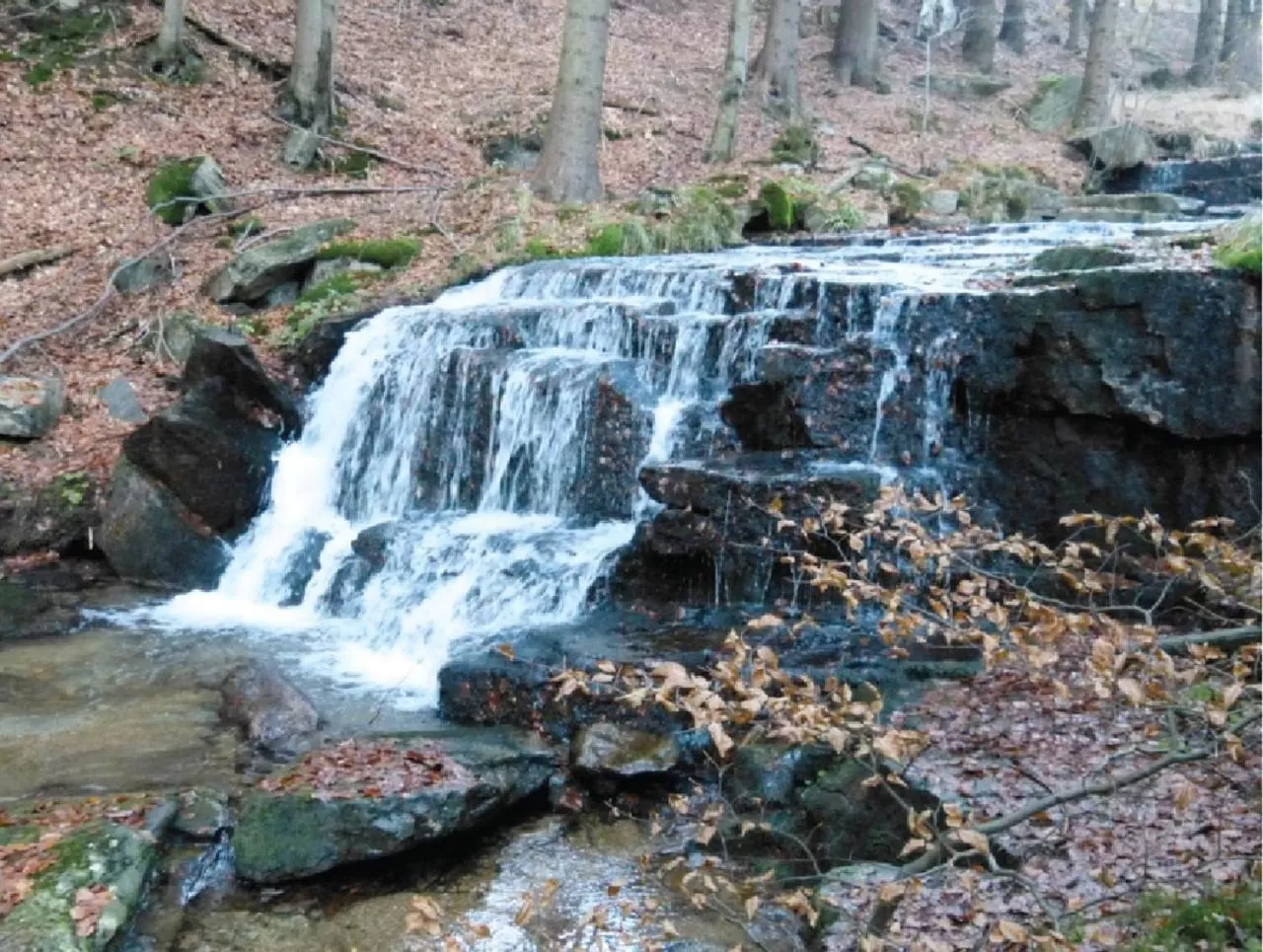 Nearby landmark, Natural Landscape in X-Park Františkov