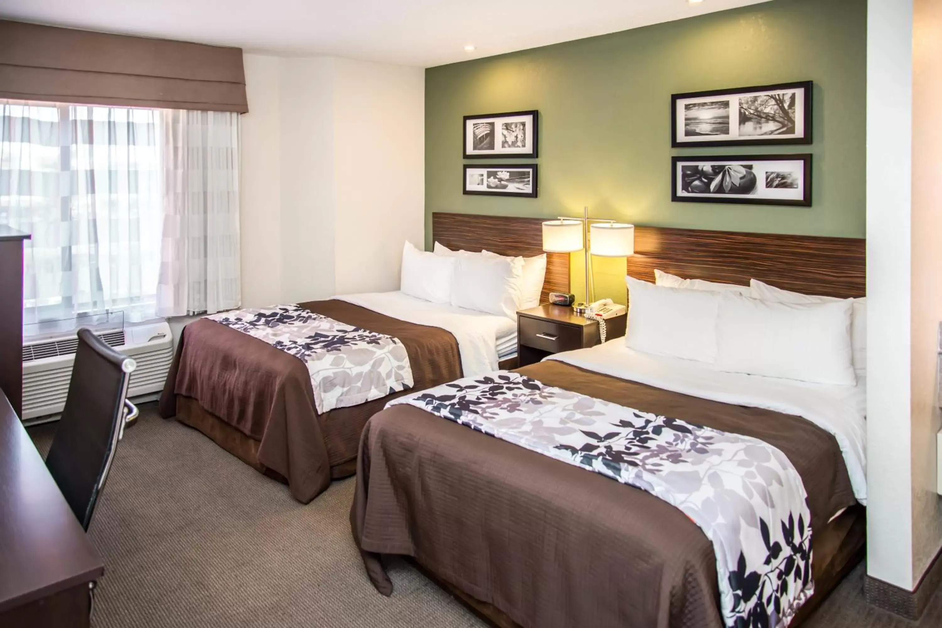 Standard Queen Room with Two Queen Rooms - Non-Smoking in Sleep Inn University Place Standard Queen Room with Two Queen Rooms - Non-Smoking in Sleep Inn University Place