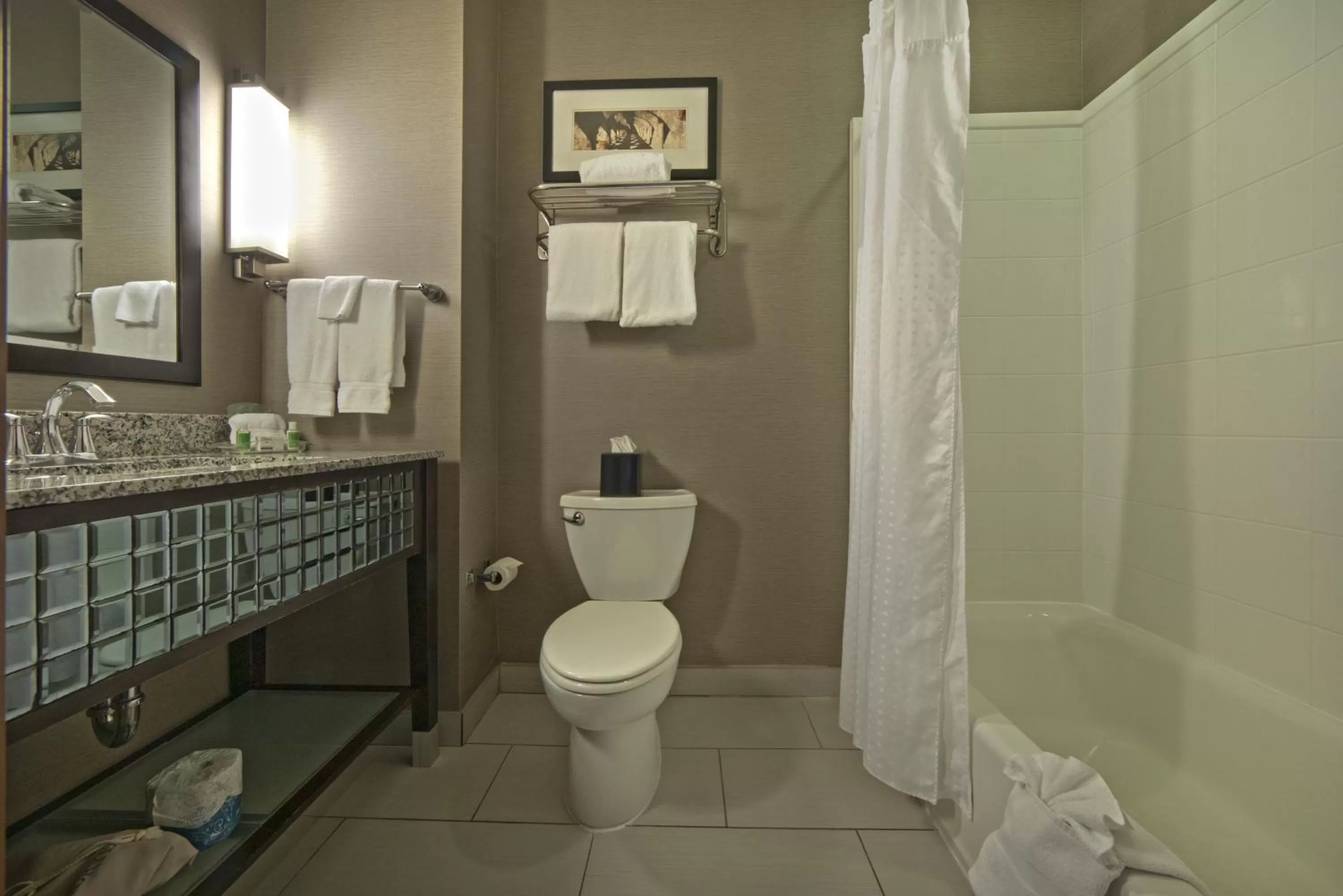 Bathroom in Holiday Inn Hotel & Suites Northwest San Antonio by IHG