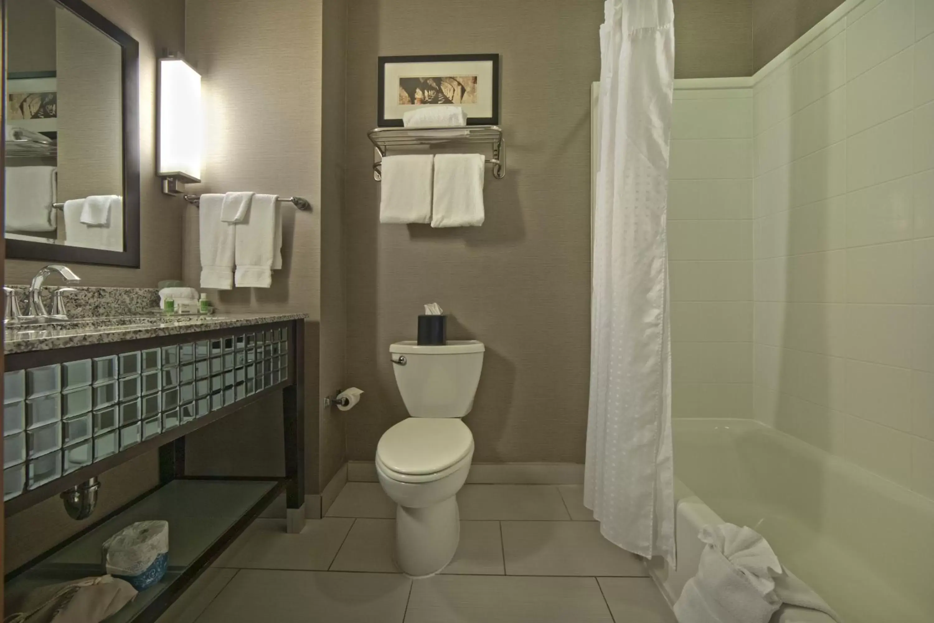 Bathroom in Holiday Inn Hotel & Suites Northwest San Antonio, an IHG Hotel